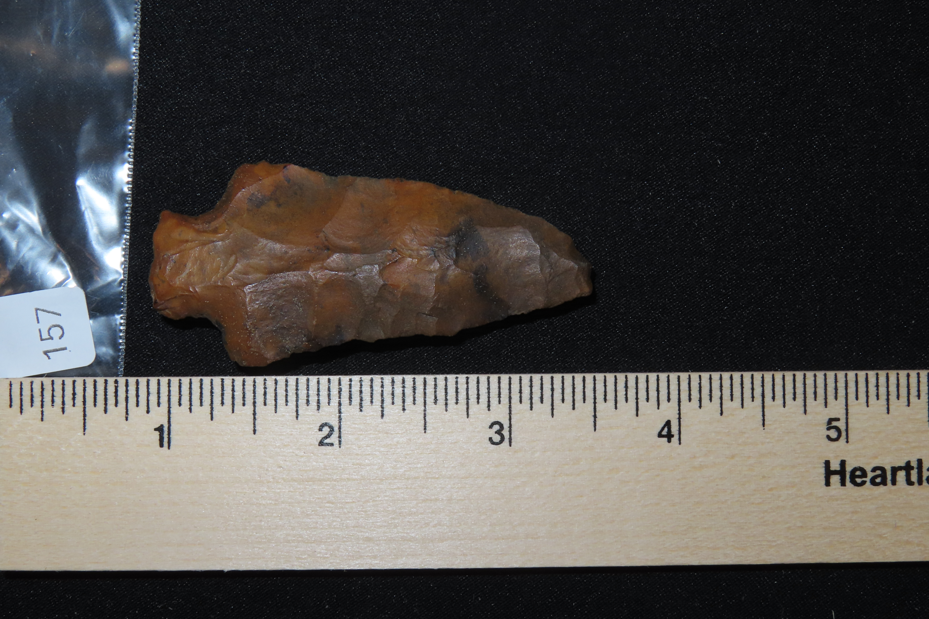 Colorful 2 5/8" River Stained Florida Candy Cottonbridge found in Pinellas County, FL. Ex Brian Boles Collection. Deep South Arrowhead.