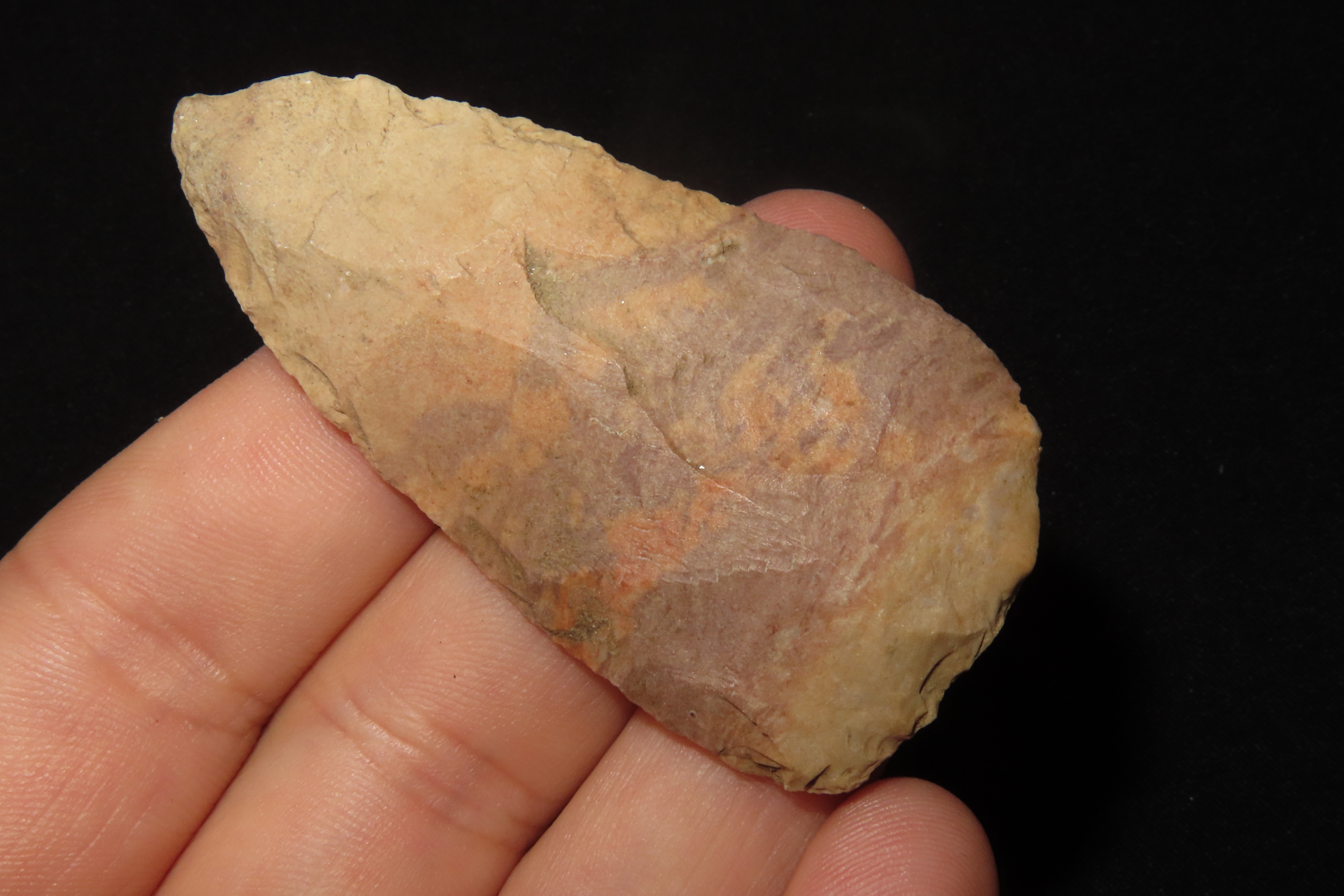 Colorful 2 1/2" Florida Cowhouse Slough Ovoid Blade found in Pasco County, FL. Ex Brian Boles Collection. Deep South Arrowhead.