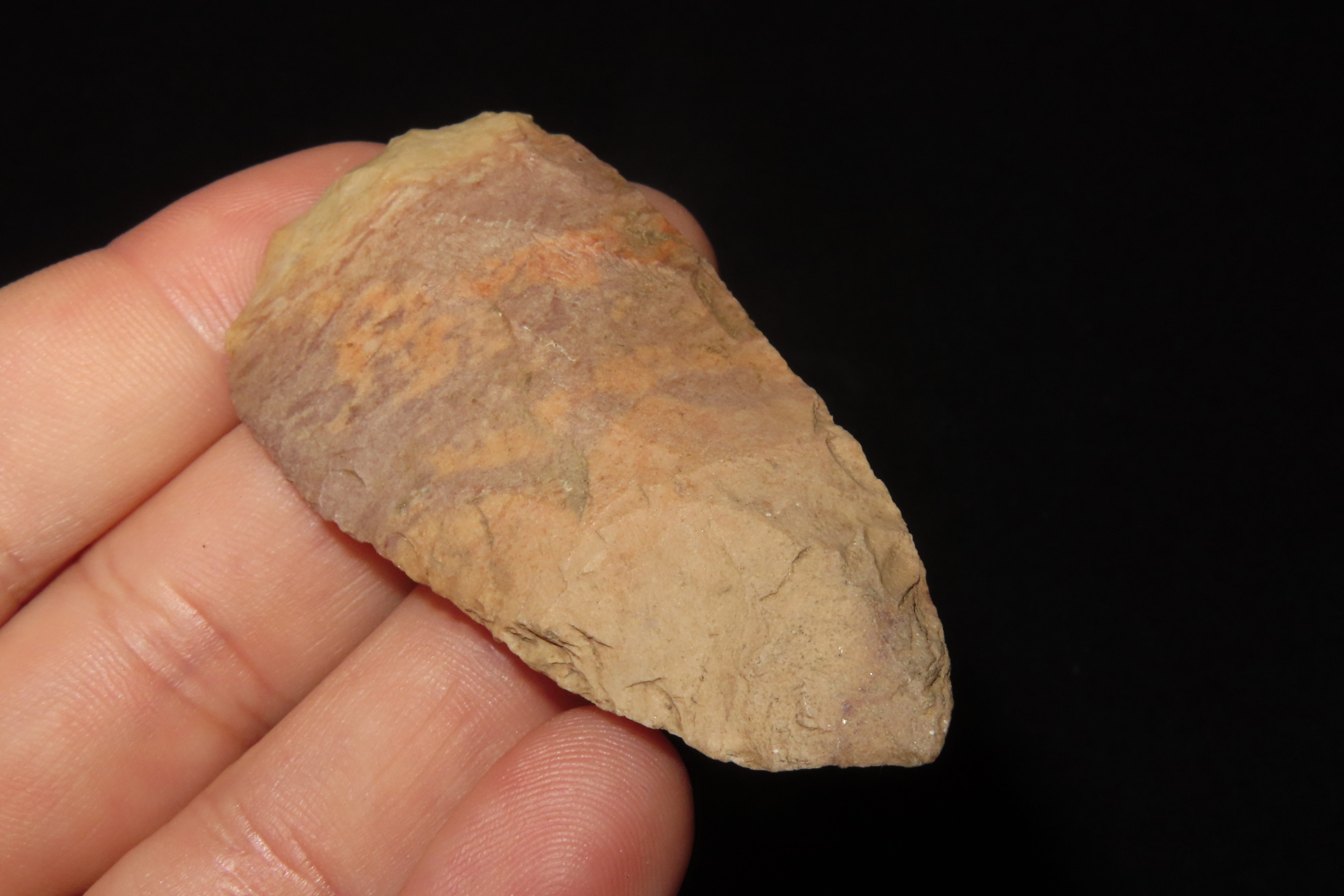 Colorful 2 1/2" Florida Cowhouse Slough Ovoid Blade found in Pasco County, FL. Ex Brian Boles Collection. Deep South Arrowhead.