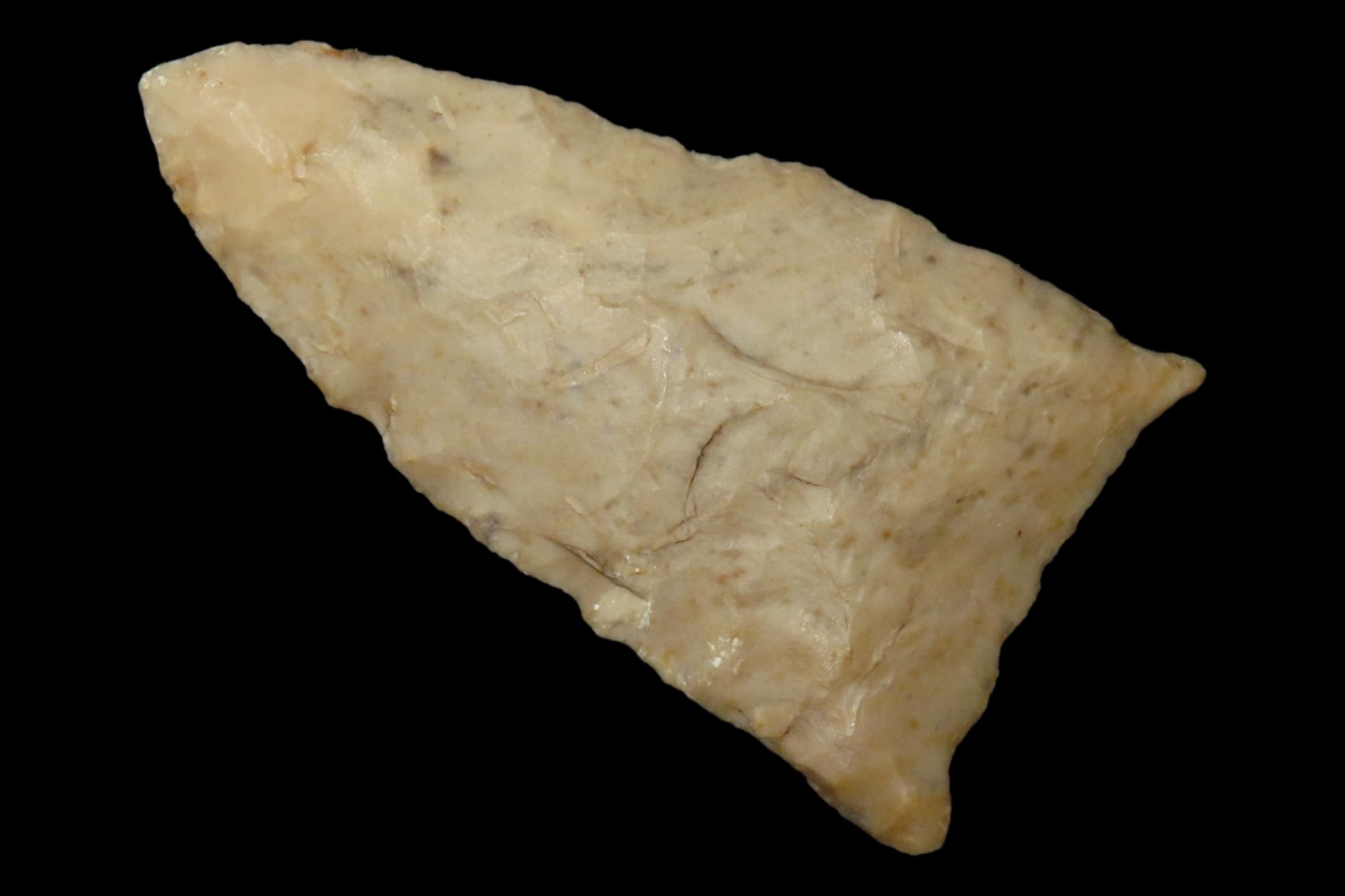 Amazing 2 1/8" Paleo Jeff found in Wayne Co., Tennessee. Nice rare example!