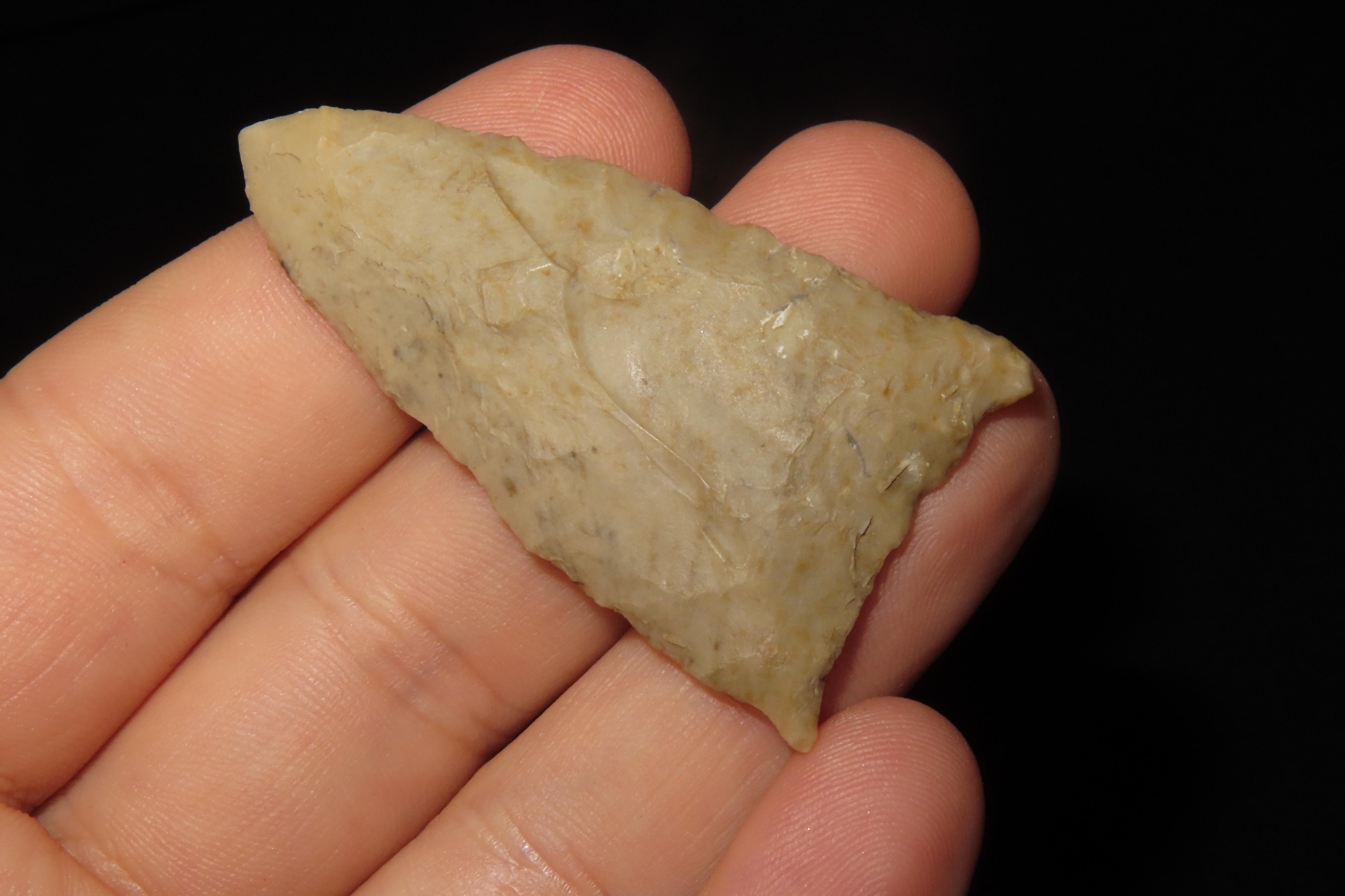 Amazing 2 1/8" Paleo Jeff found in Wayne Co., Tennessee. Nice rare example!