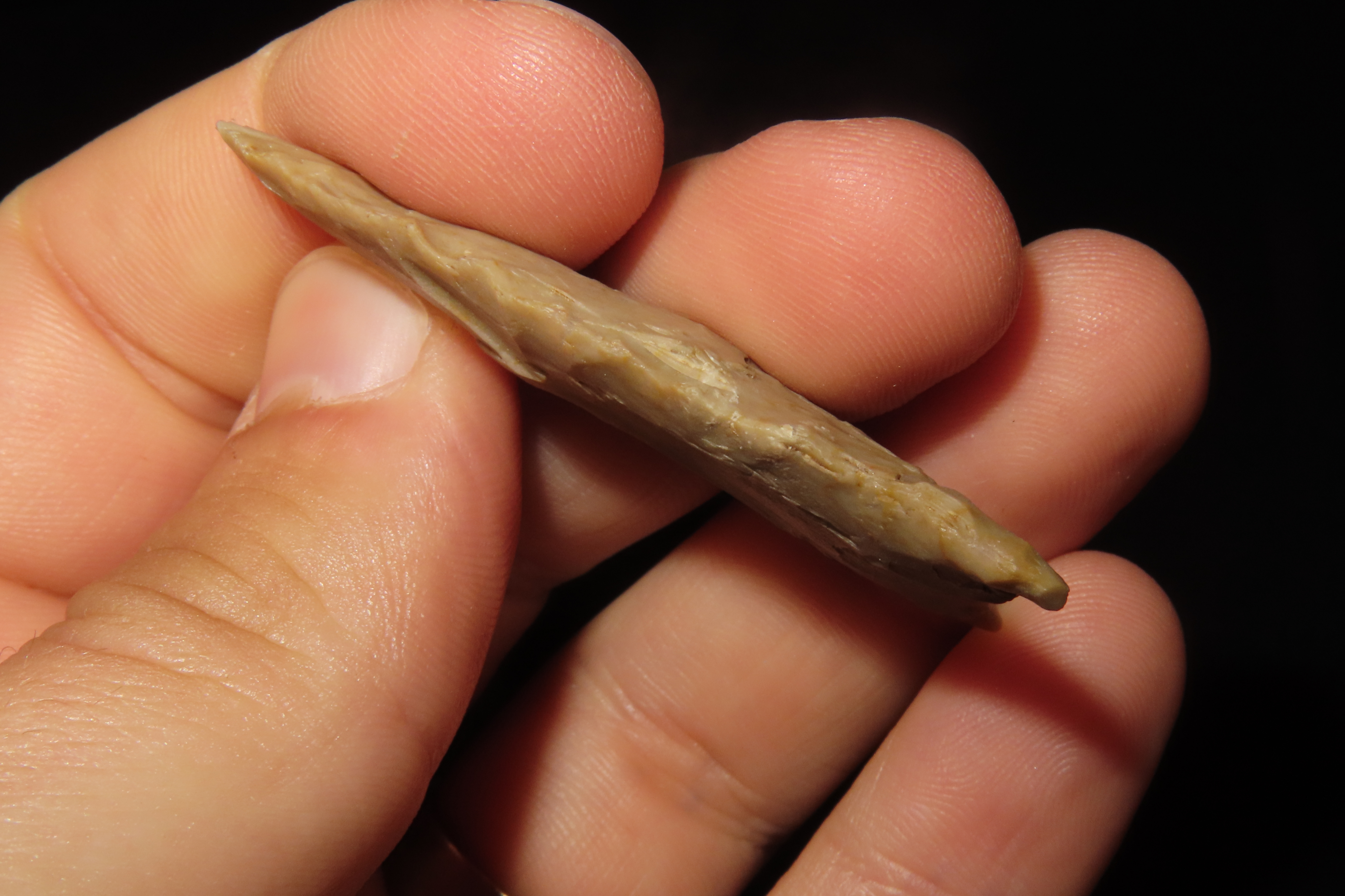 Amazing 2 1/8" Paleo Jeff found in Wayne Co., Tennessee. Nice rare example!