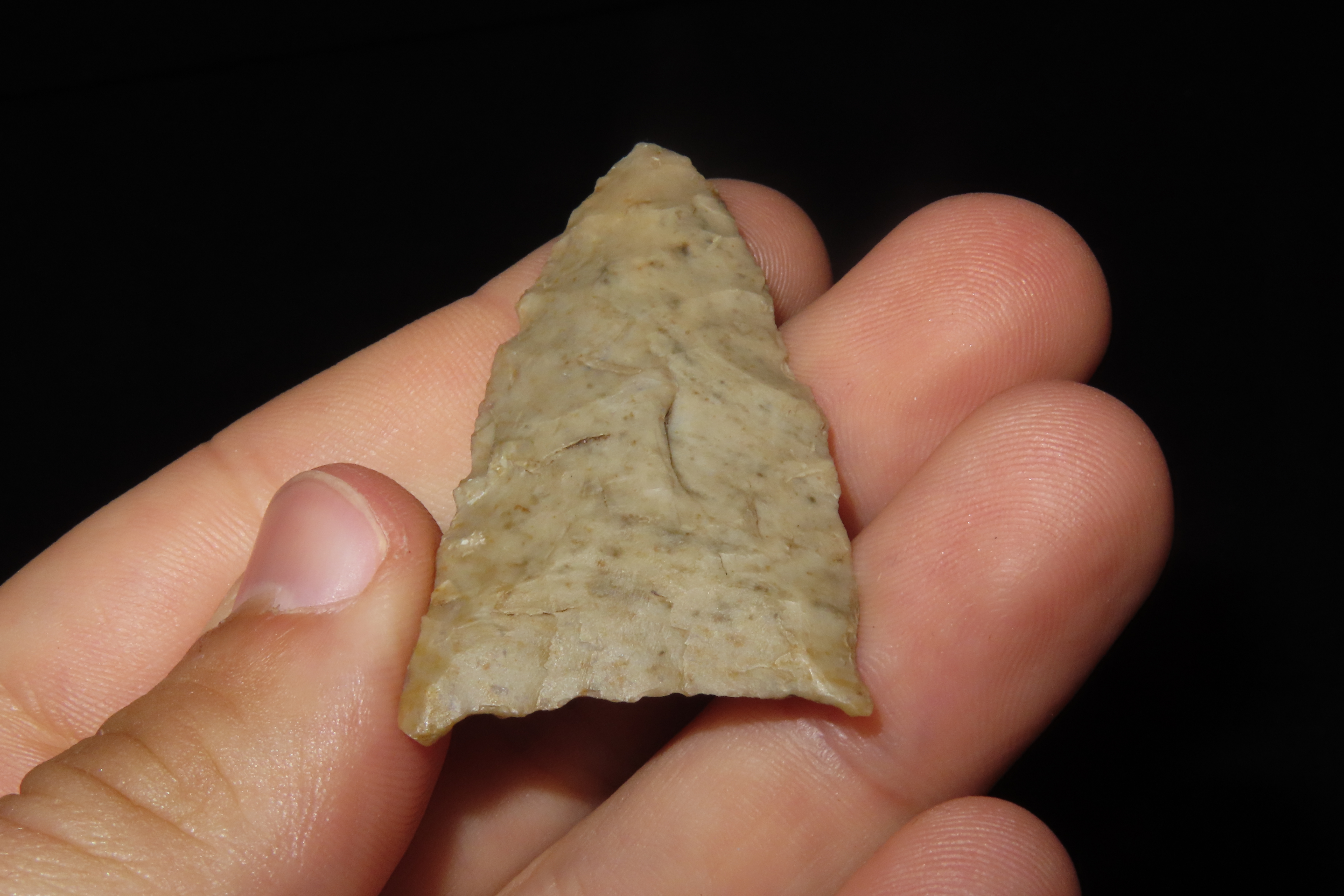 Amazing 2 1/8" Paleo Jeff found in Wayne Co., Tennessee. Nice rare example!