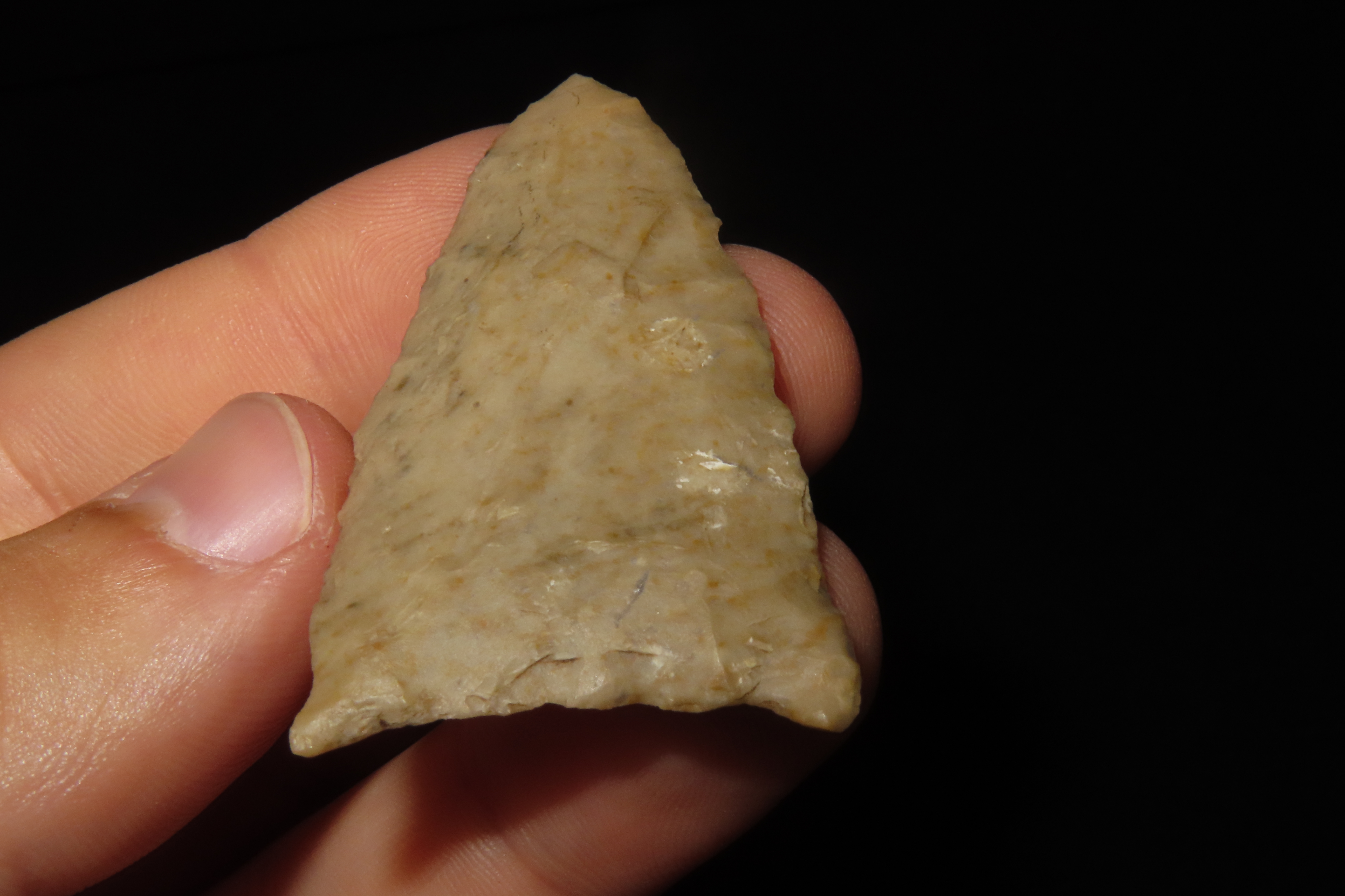 Amazing 2 1/8" Paleo Jeff found in Wayne Co., Tennessee. Nice rare example!
