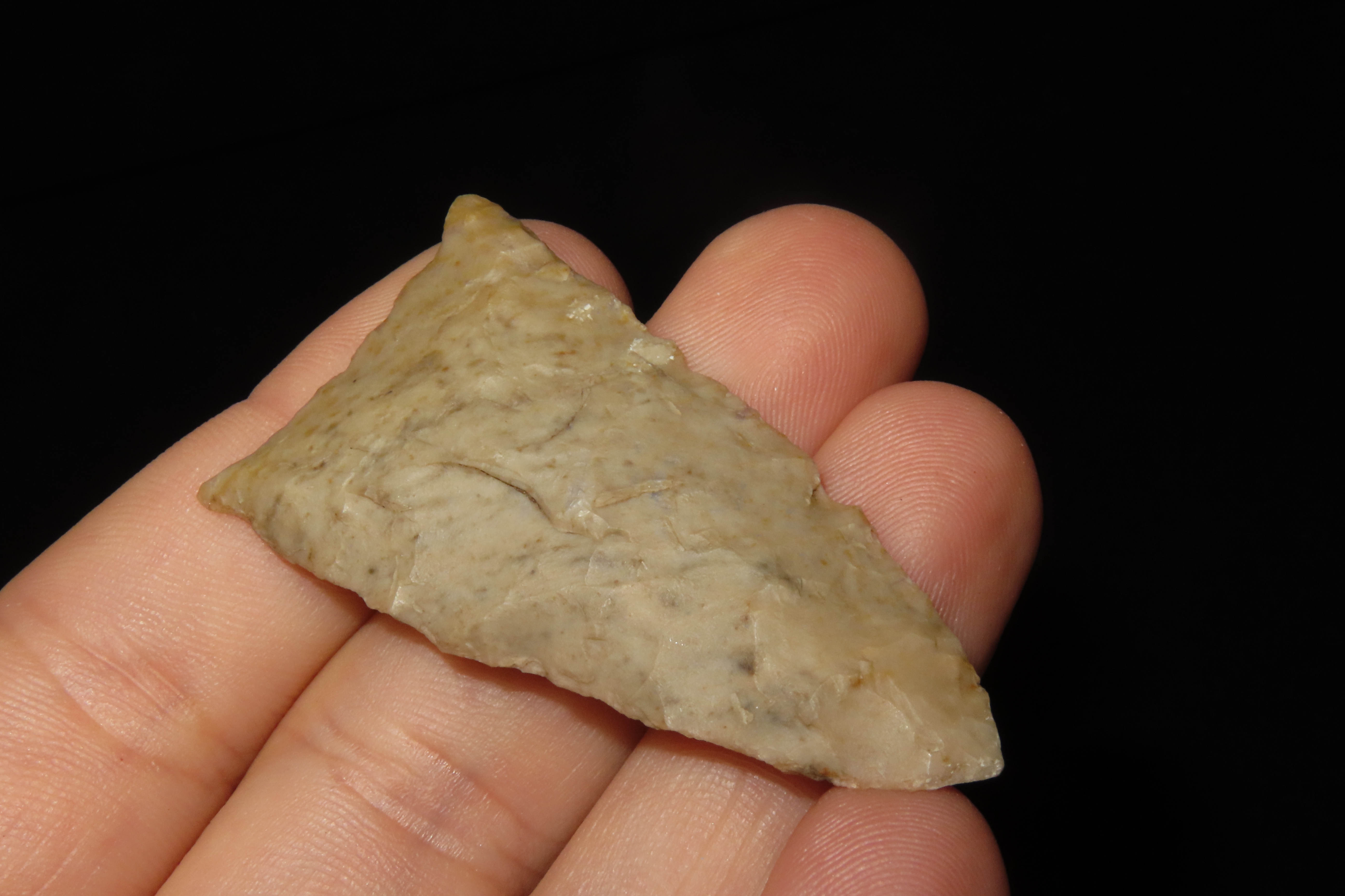 Amazing 2 1/8" Paleo Jeff found in Wayne Co., Tennessee. Nice rare example!