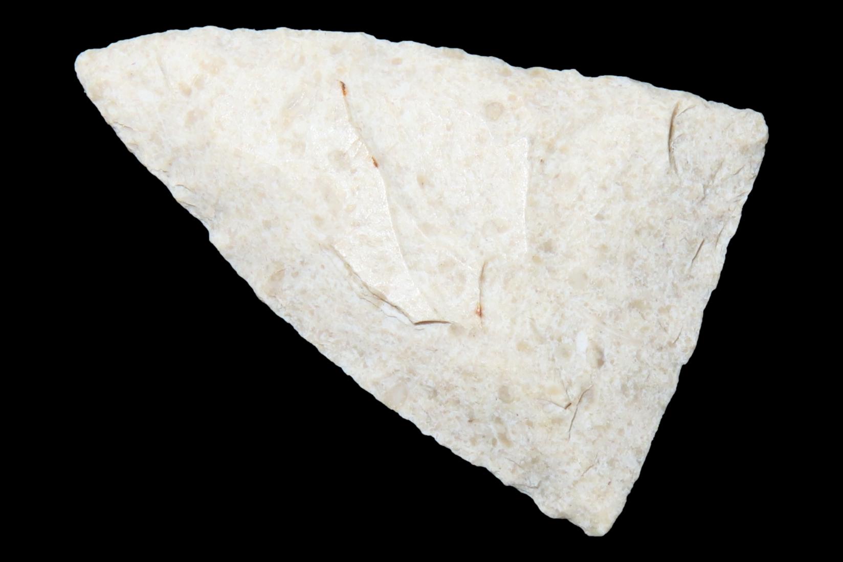 Perfect Florida Pinellas Triangle found in Pasco County, Fl. Finely Flaked example. Ex Brian Boles Collection. Deep South Arrowhead.