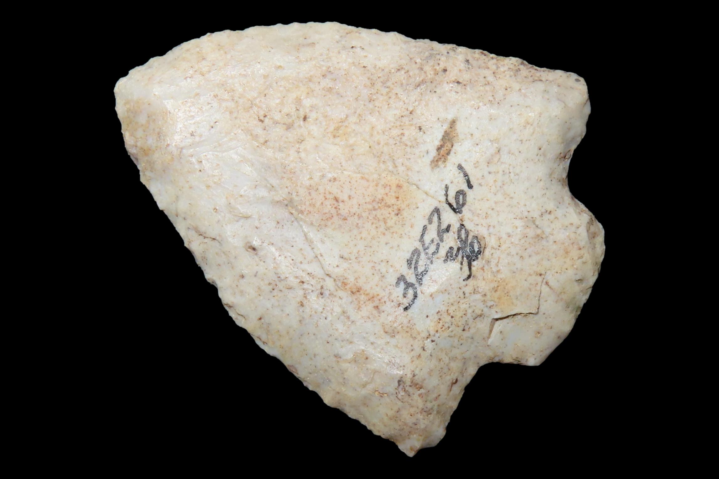 Amazing 1 7/8" Florida Marion found in Pasco County, FL. Ex Brian Boles Collection. Deep South Arrowhead.