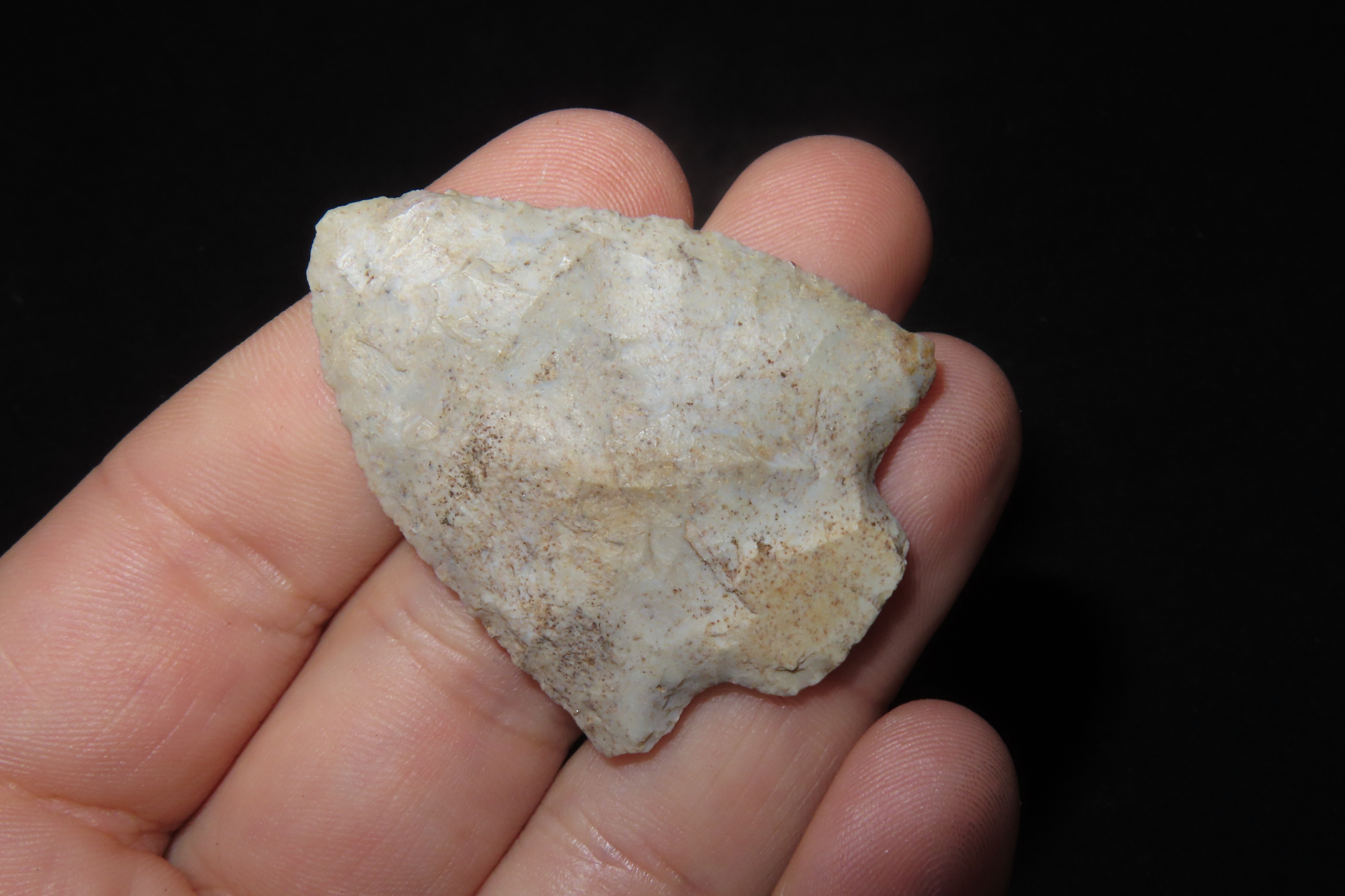 Amazing 1 7/8" Florida Marion found in Pasco County, FL. Ex Brian Boles Collection. Deep South Arrowhead.