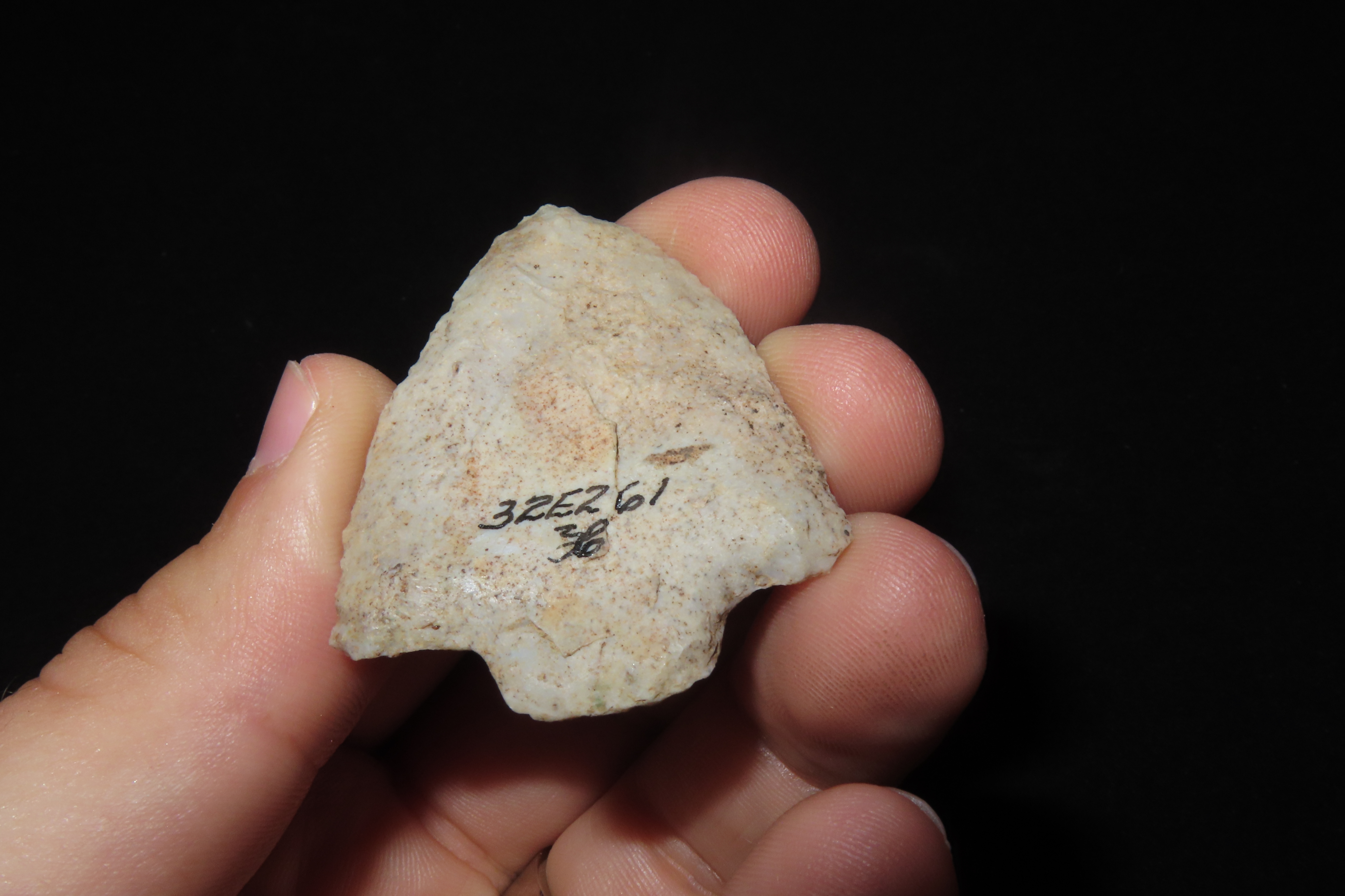 Amazing 1 7/8" Florida Marion found in Pasco County, FL. Ex Brian Boles Collection. Deep South Arrowhead.