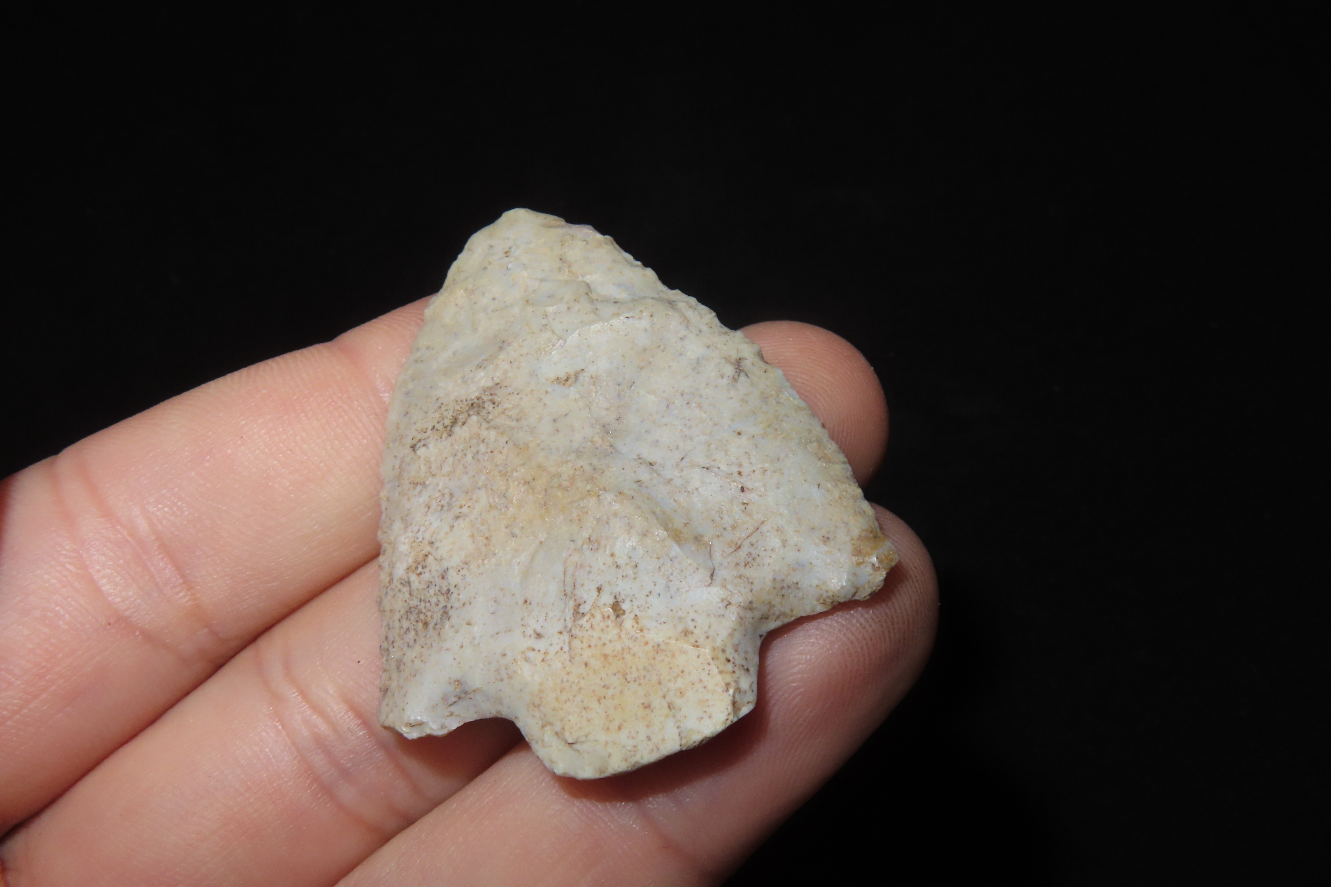 Amazing 1 7/8" Florida Marion found in Pasco County, FL. Ex Brian Boles Collection. Deep South Arrowhead.