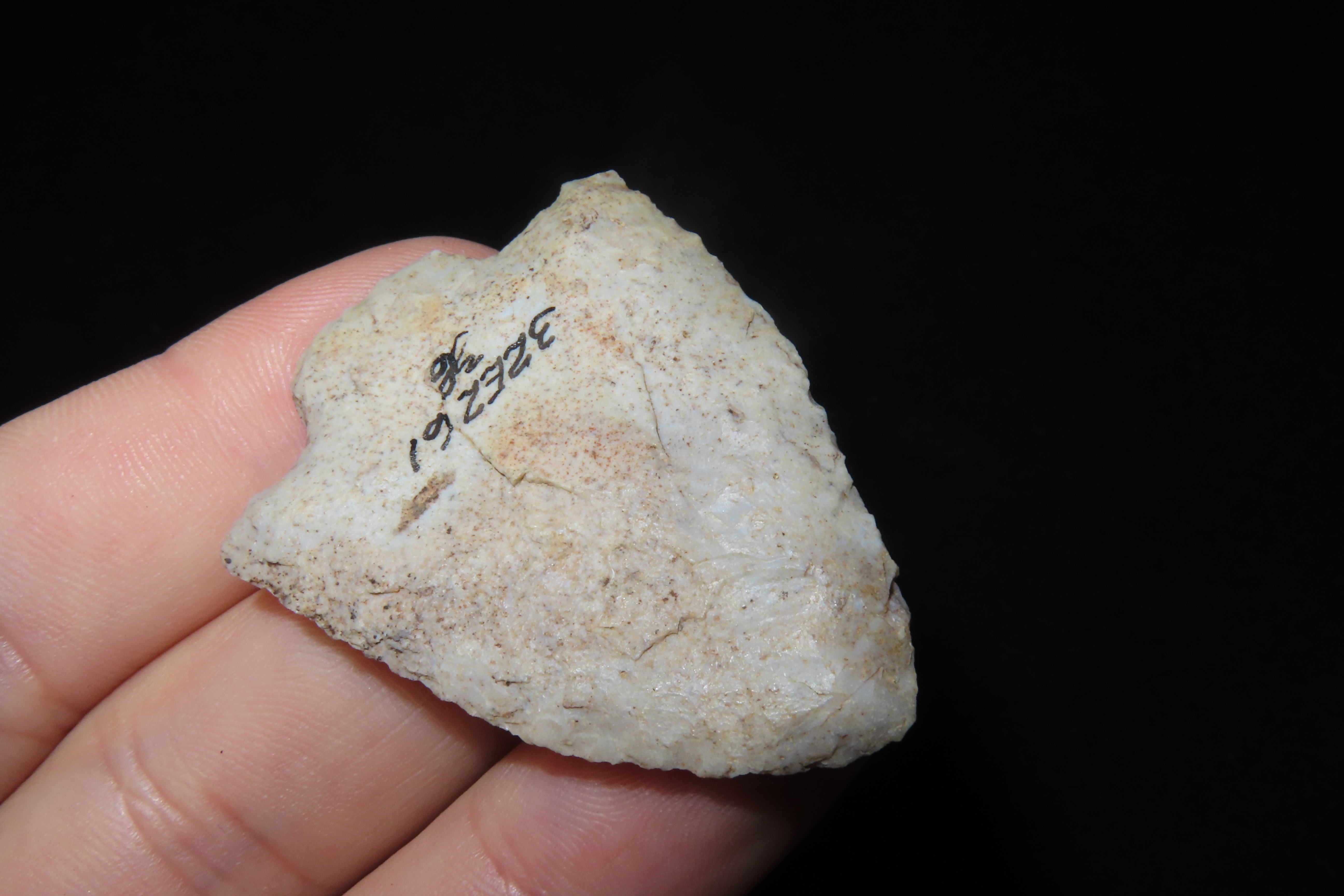 Amazing 1 7/8" Florida Marion found in Pasco County, FL. Ex Brian Boles Collection. Deep South Arrowhead.