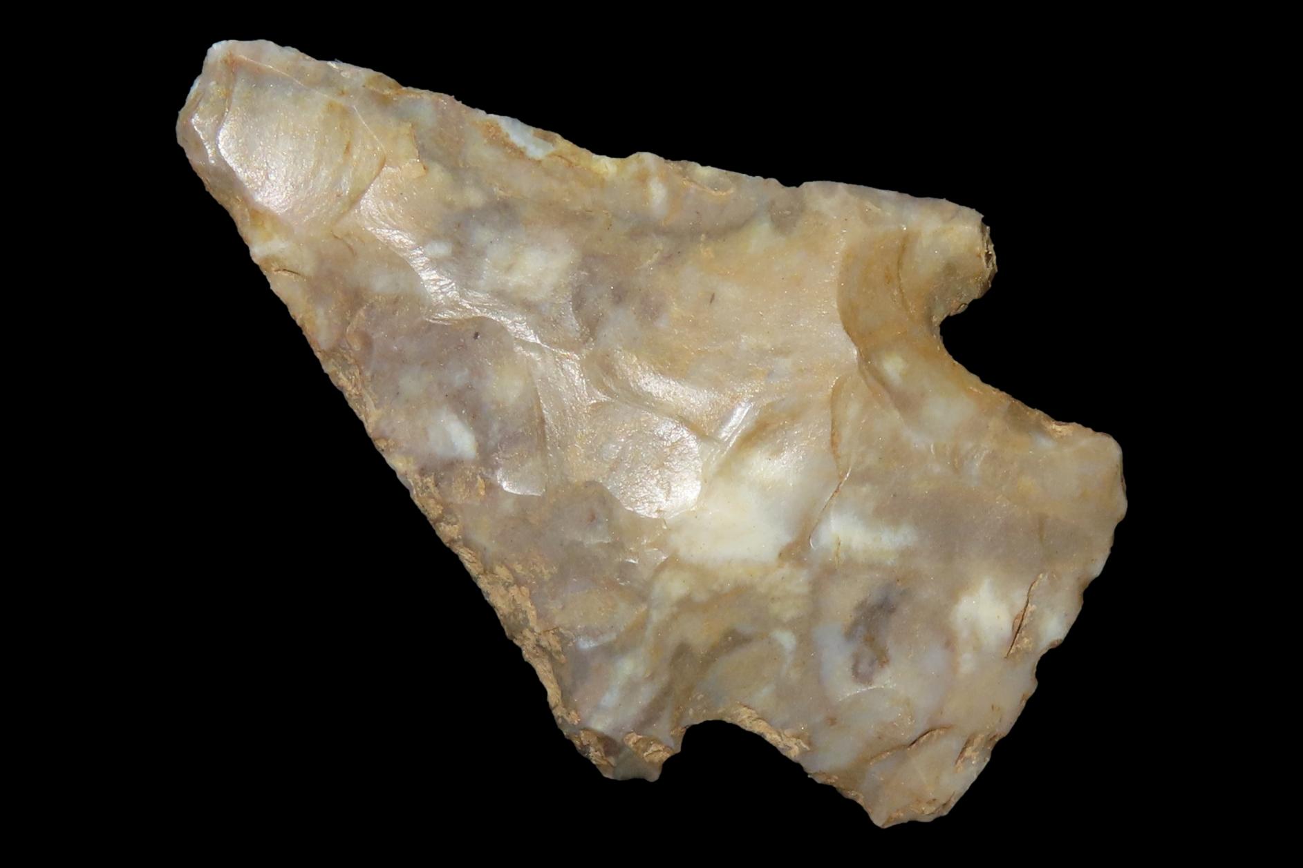 Colorful Florida Hardin found in Madison County, FL. Ex Brian Boles Collection. Deep South Arrowhead.