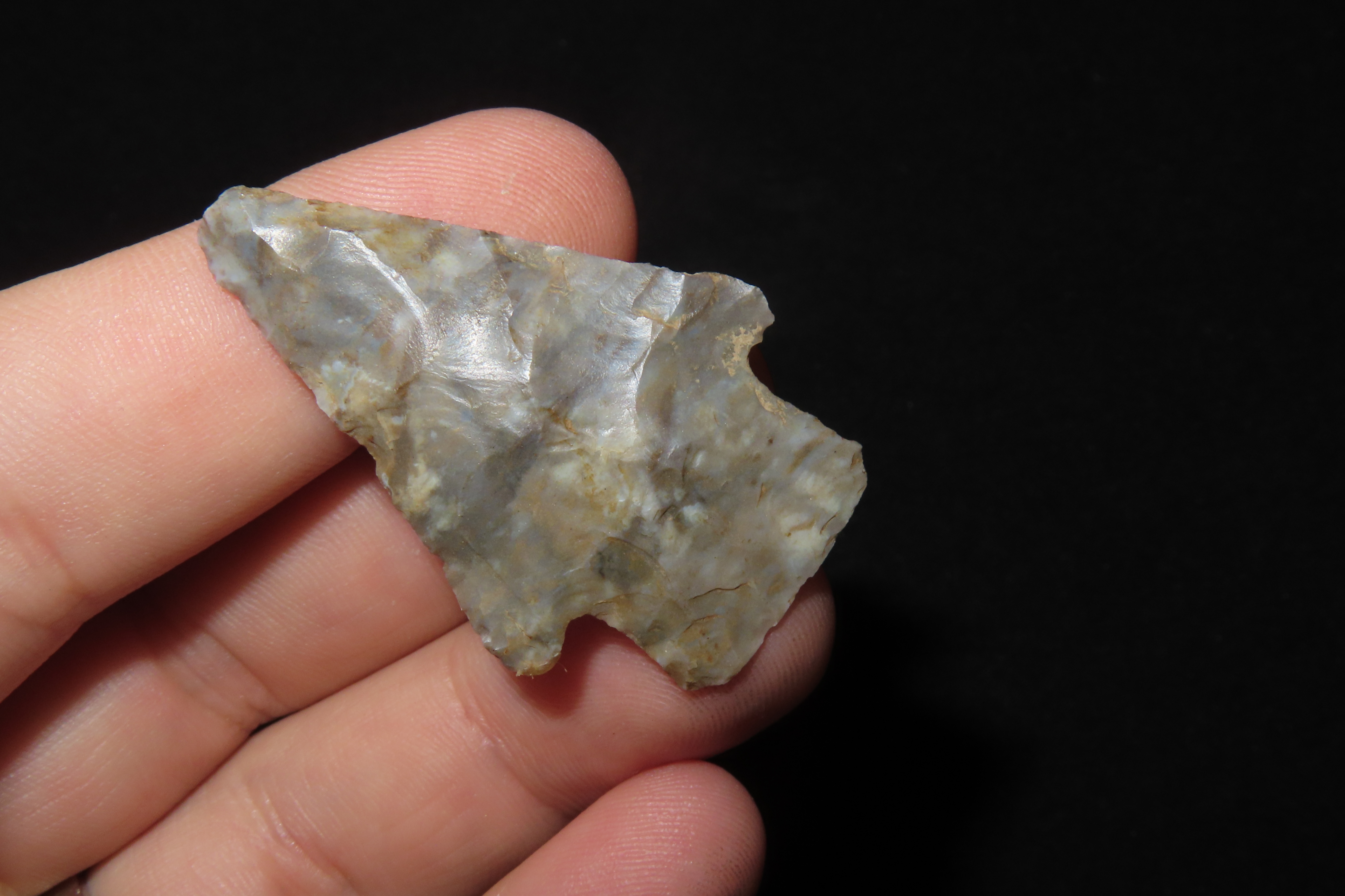 Colorful Florida Hardin found in Madison County, FL. Ex Brian Boles Collection. Deep South Arrowhead.