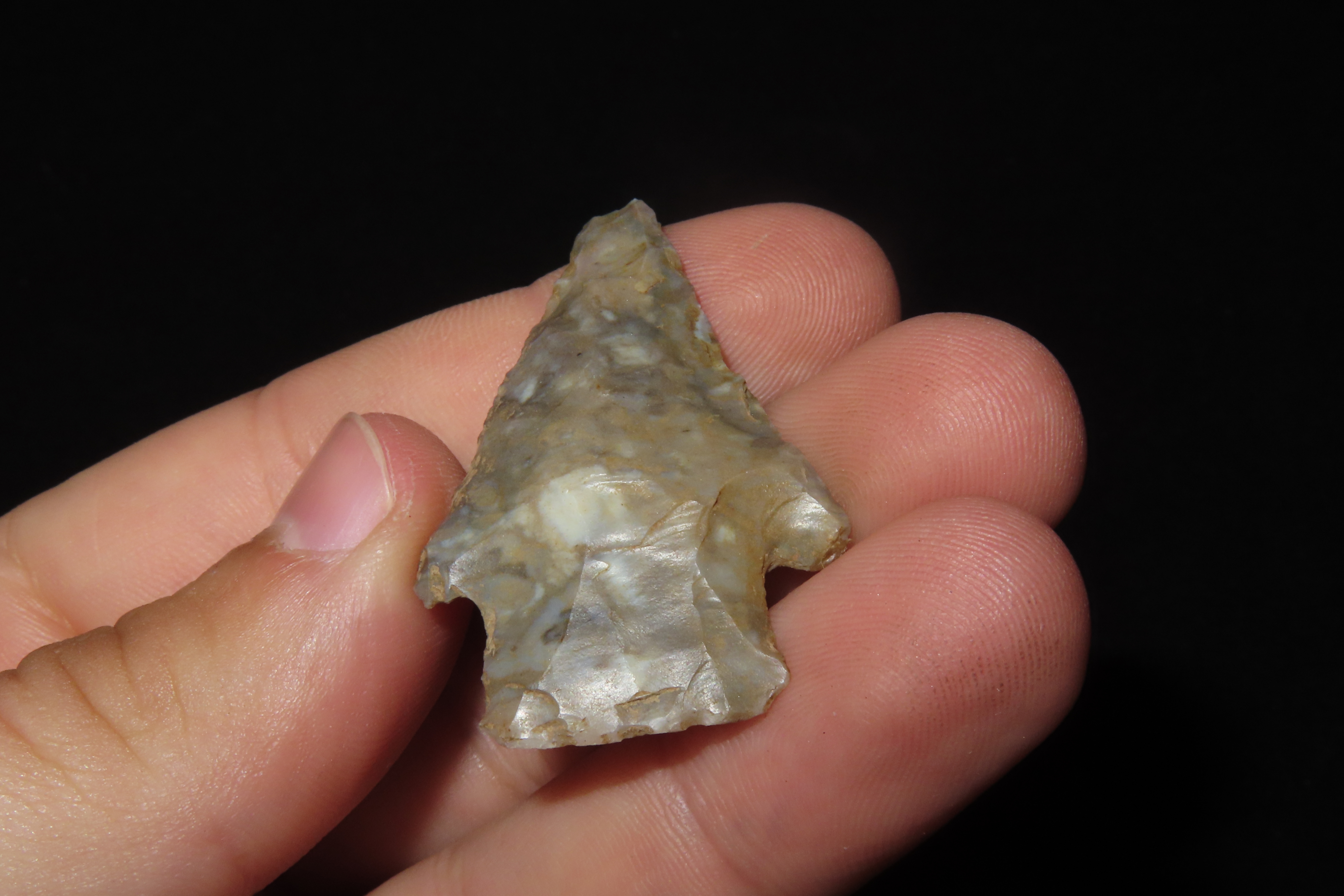 Colorful Florida Hardin found in Madison County, FL. Ex Brian Boles Collection. Deep South Arrowhead.