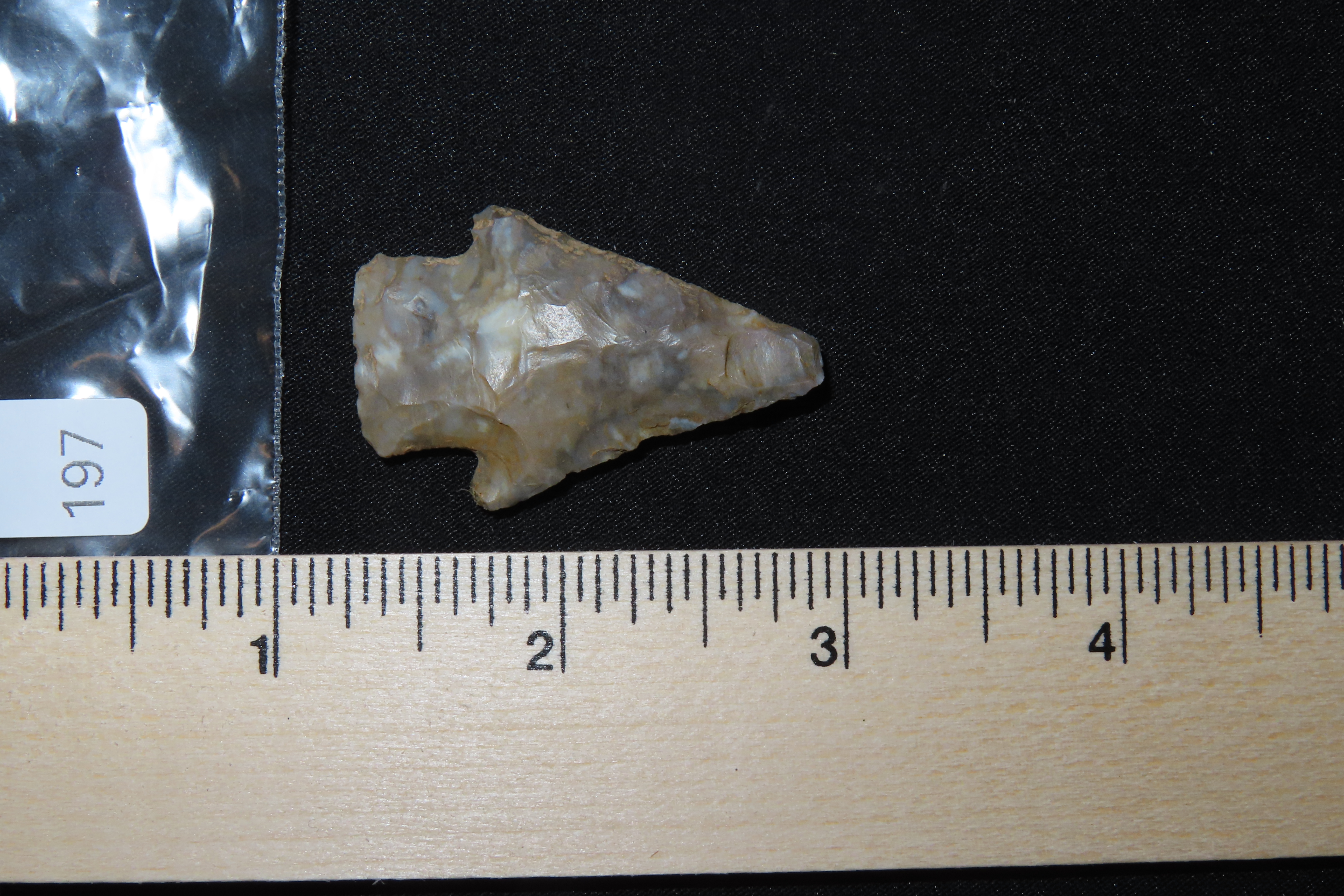 Colorful Florida Hardin found in Madison County, FL. Ex Brian Boles Collection. Deep South Arrowhead.