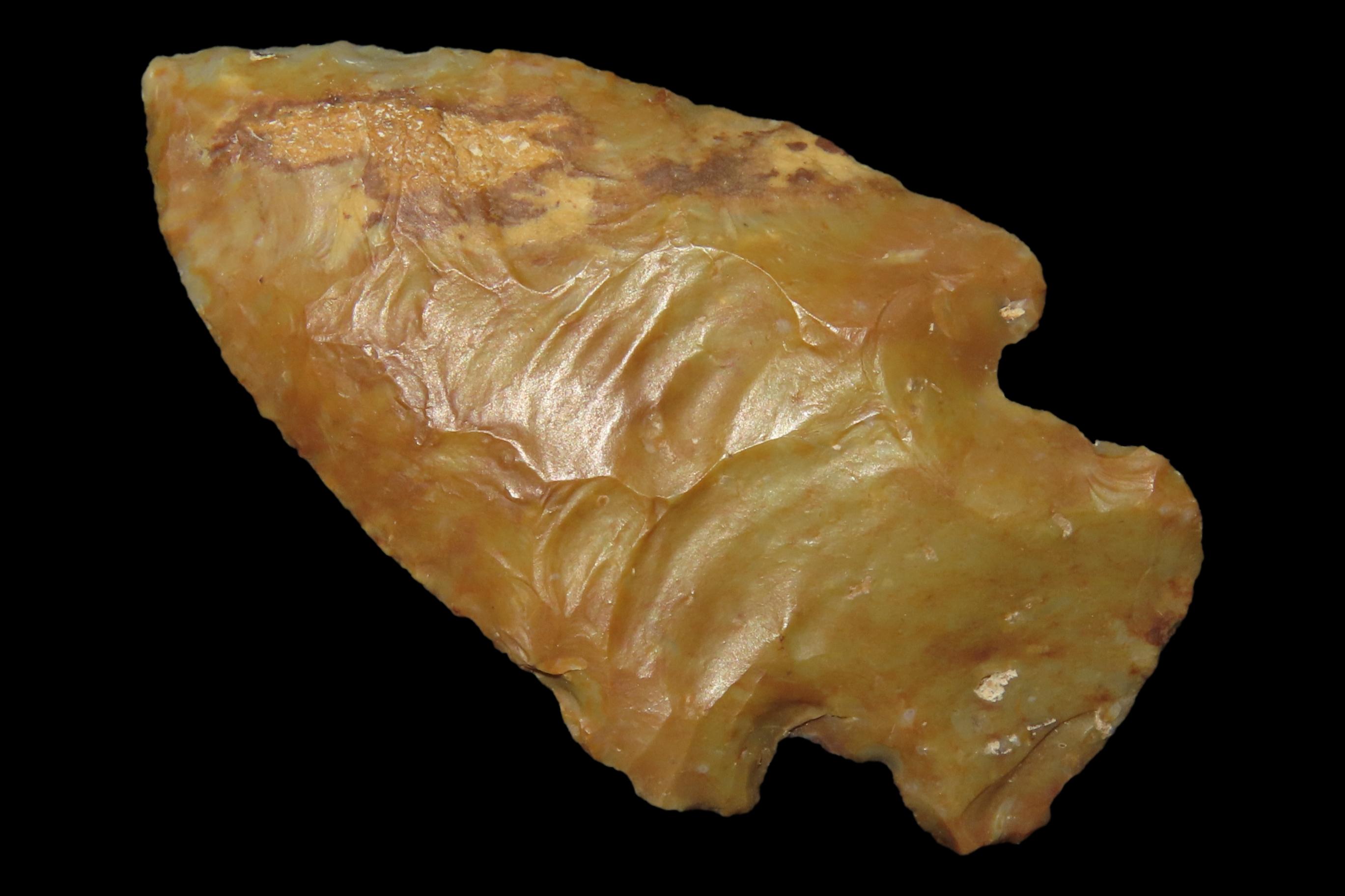 Colorful Florida River Stained Bolen Bevel E-Notch found in Citrus County, FL. Ex Brian Boles Collection. Deep South Arrowhead.