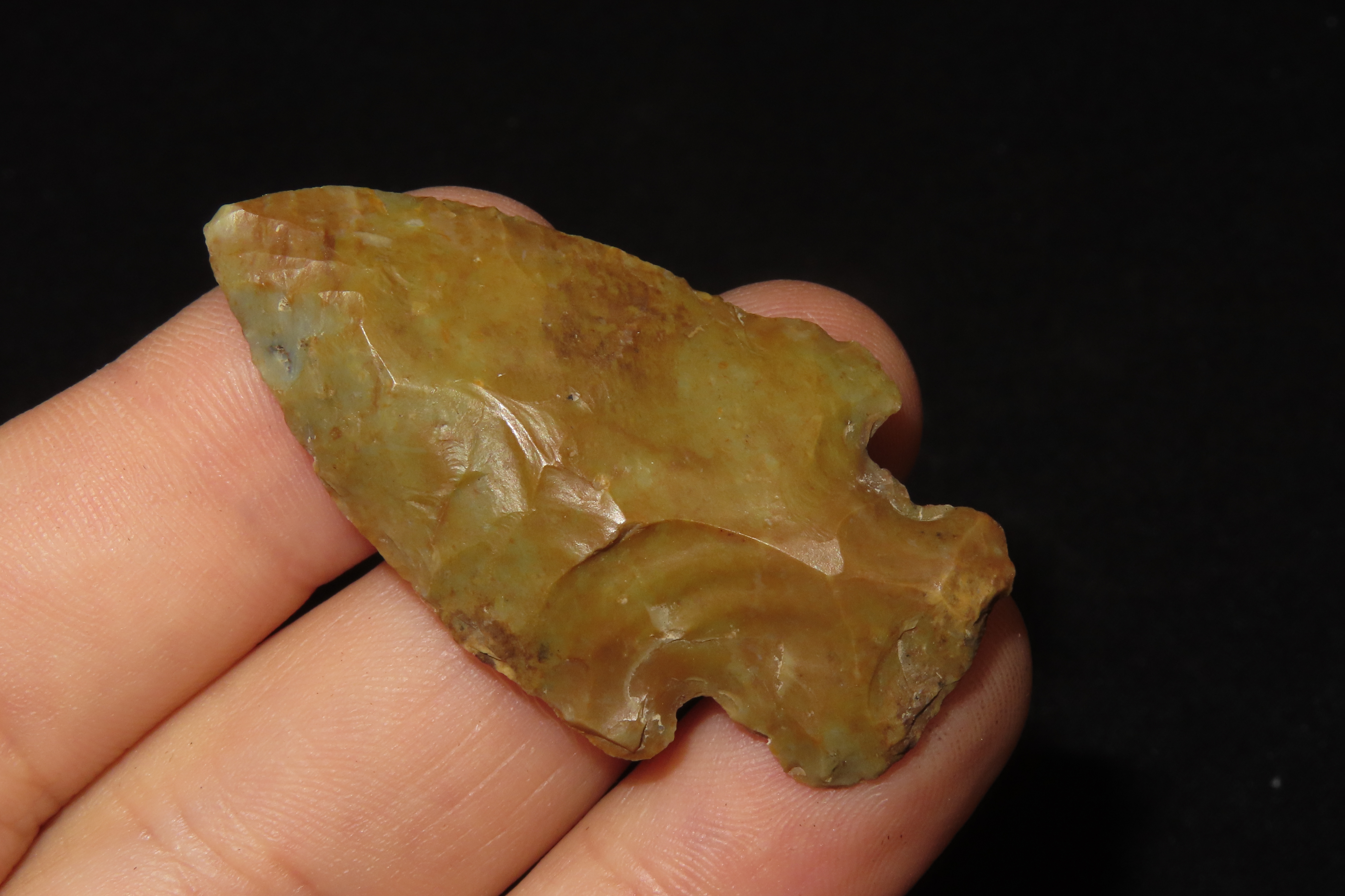 Colorful Florida River Stained Bolen Bevel E-Notch found in Citrus County, FL. Ex Brian Boles Collection. Deep South Arrowhead.