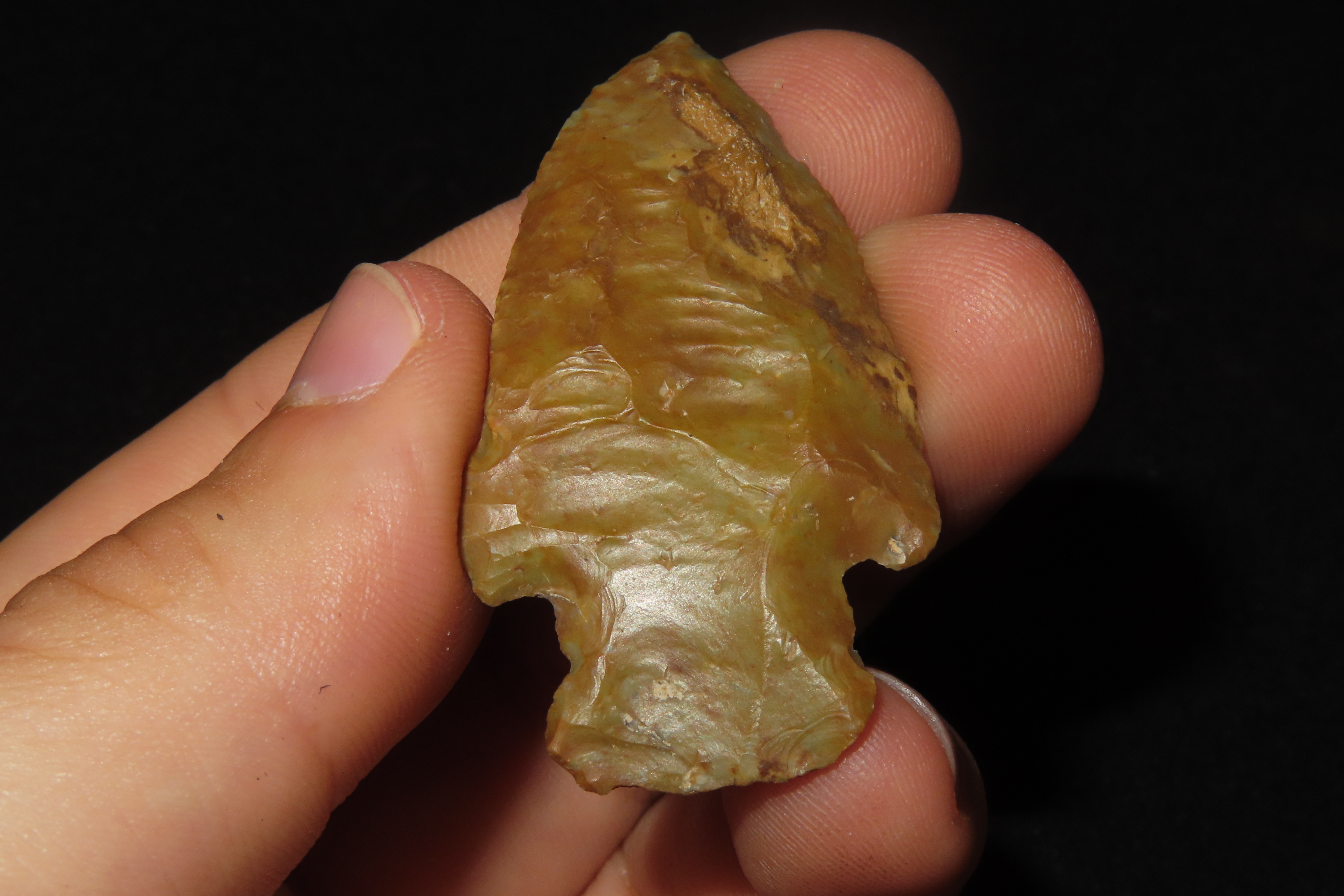 Colorful Florida River Stained Bolen Bevel E-Notch found in Citrus County, FL. Ex Brian Boles Collection. Deep South Arrowhead.