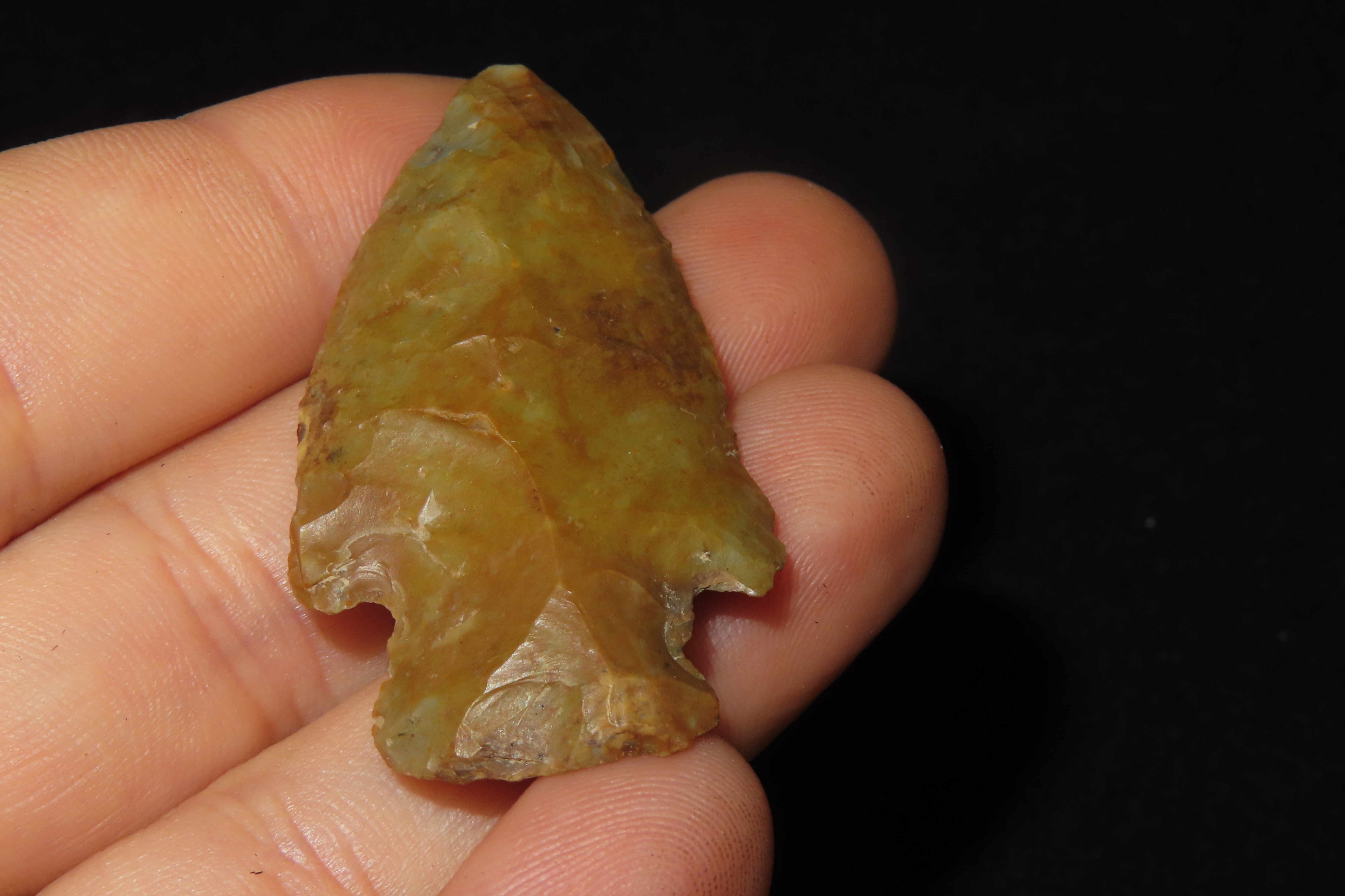 Colorful Florida River Stained Bolen Bevel E-Notch found in Citrus County, FL. Ex Brian Boles Collection. Deep South Arrowhead.