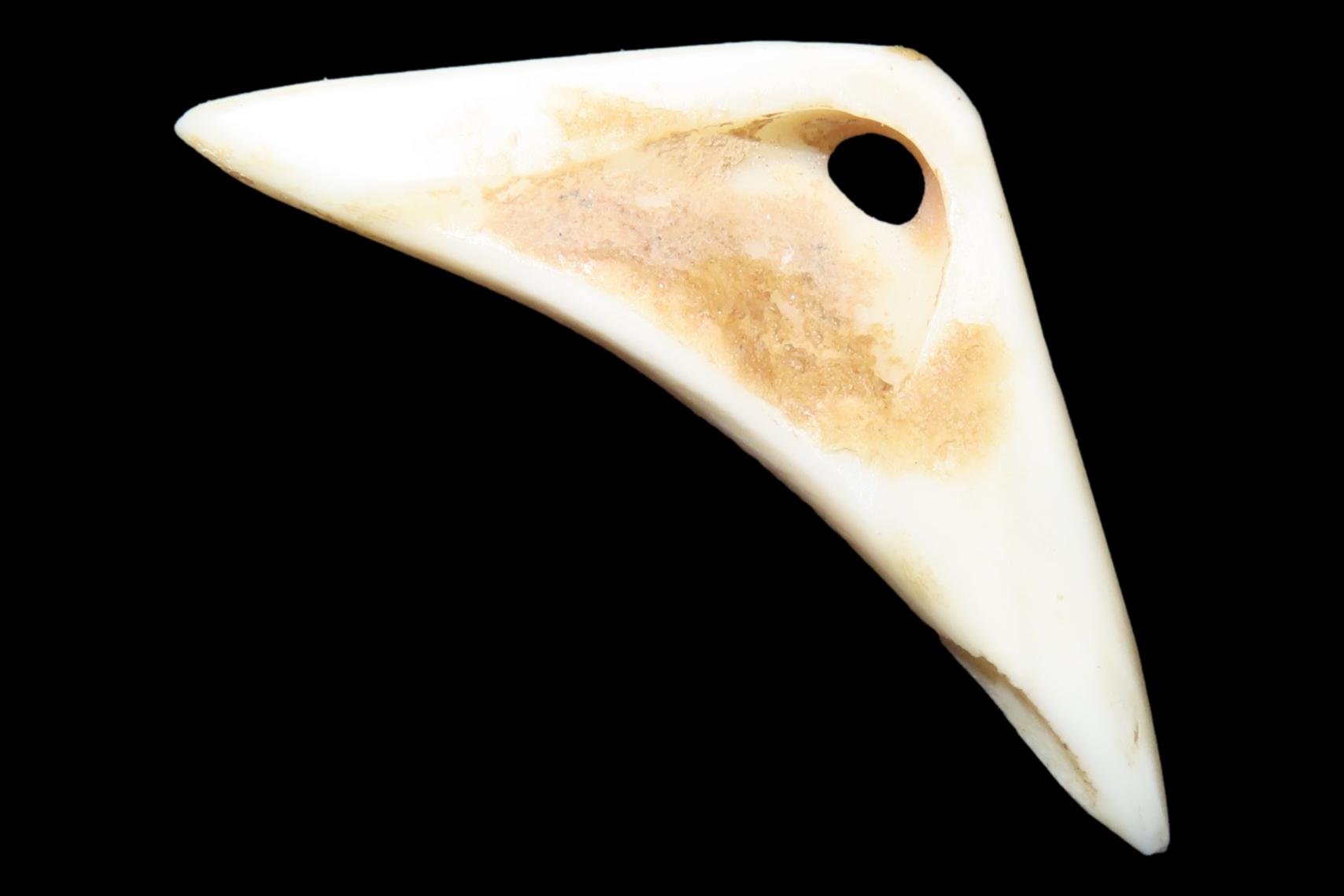 Nice Mimbres / Hohokam Effigy Shell Pendant found in Arizona. Nicely shaped and polished example, drilled for suspension.