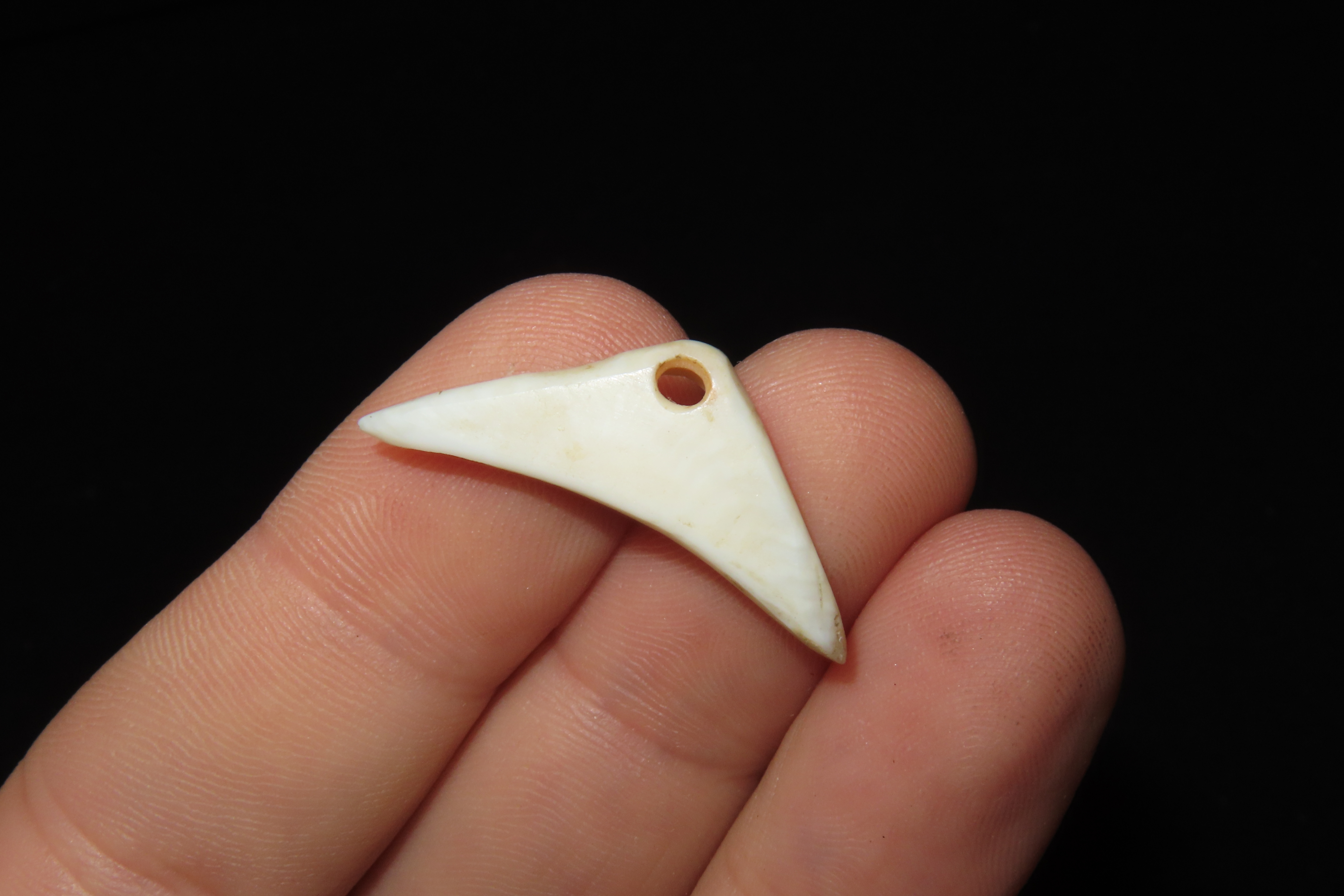 Nice Mimbres / Hohokam Effigy Shell Pendant found in Arizona. Nicely shaped and polished example, drilled for suspension.