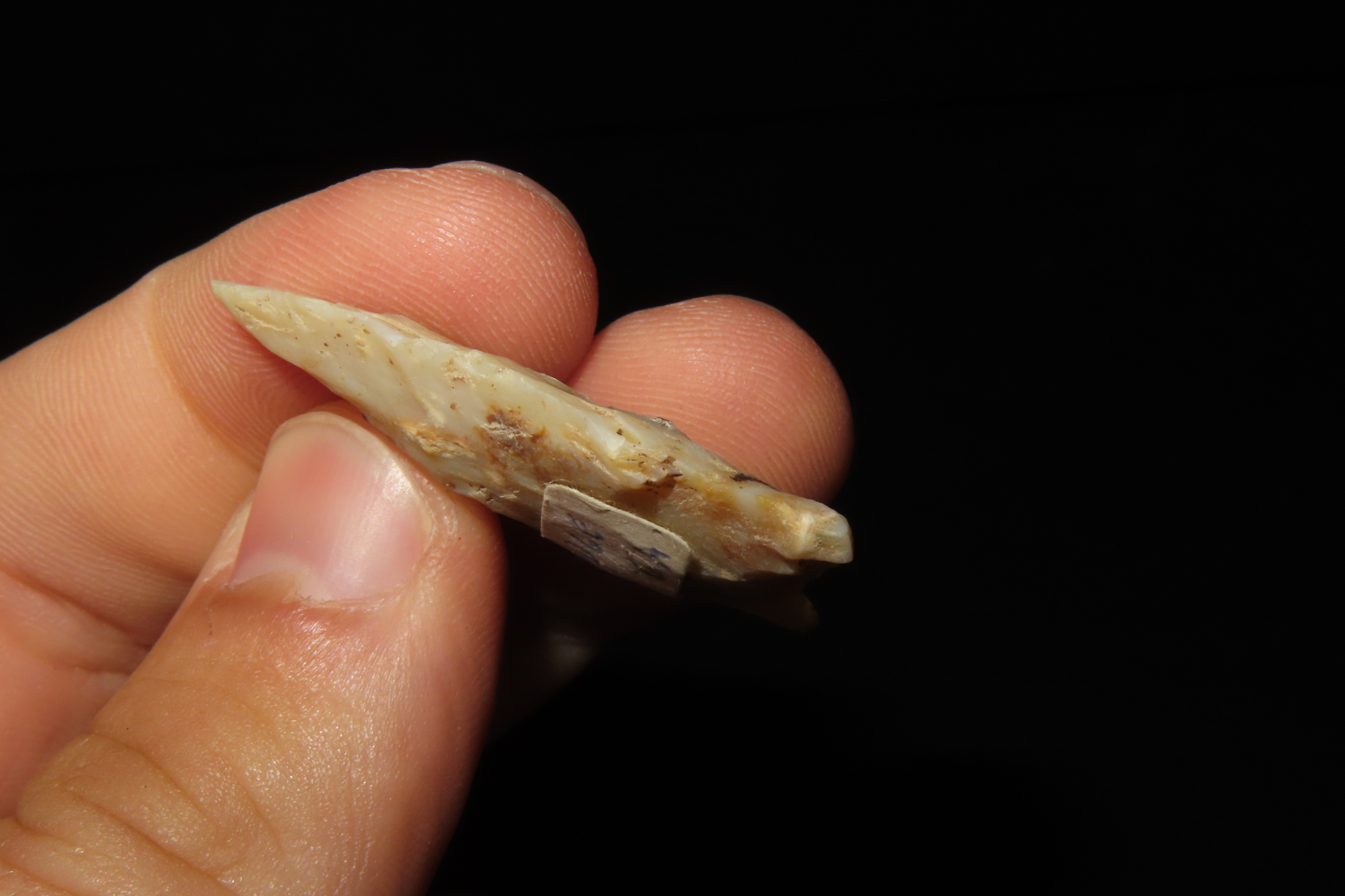 Highly Translucent Paleo Suwanee / Simpson found in Dodge County Georgia. Finely Flaked example!