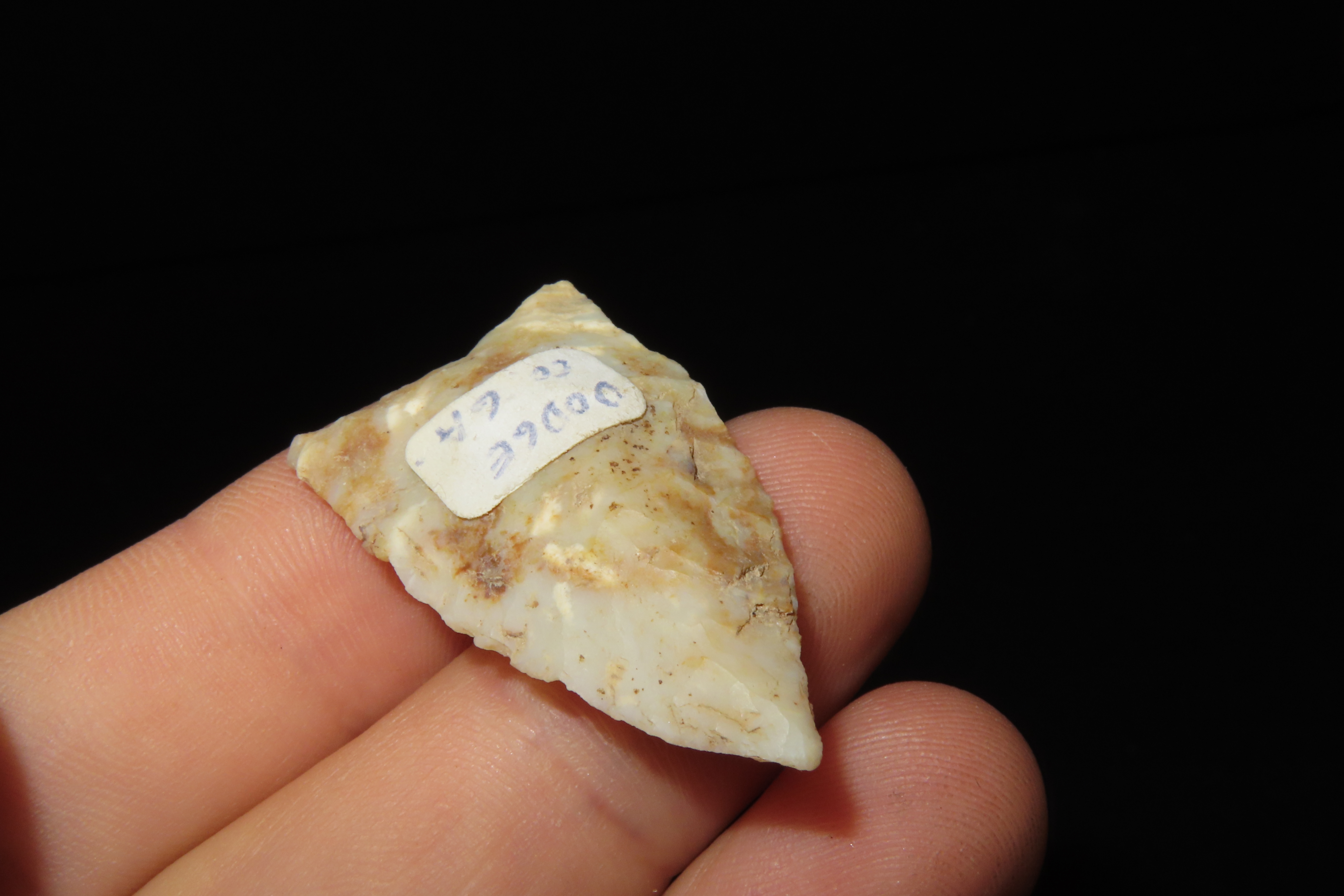 Highly Translucent Paleo Suwanee / Simpson found in Dodge County Georgia. Finely Flaked example!