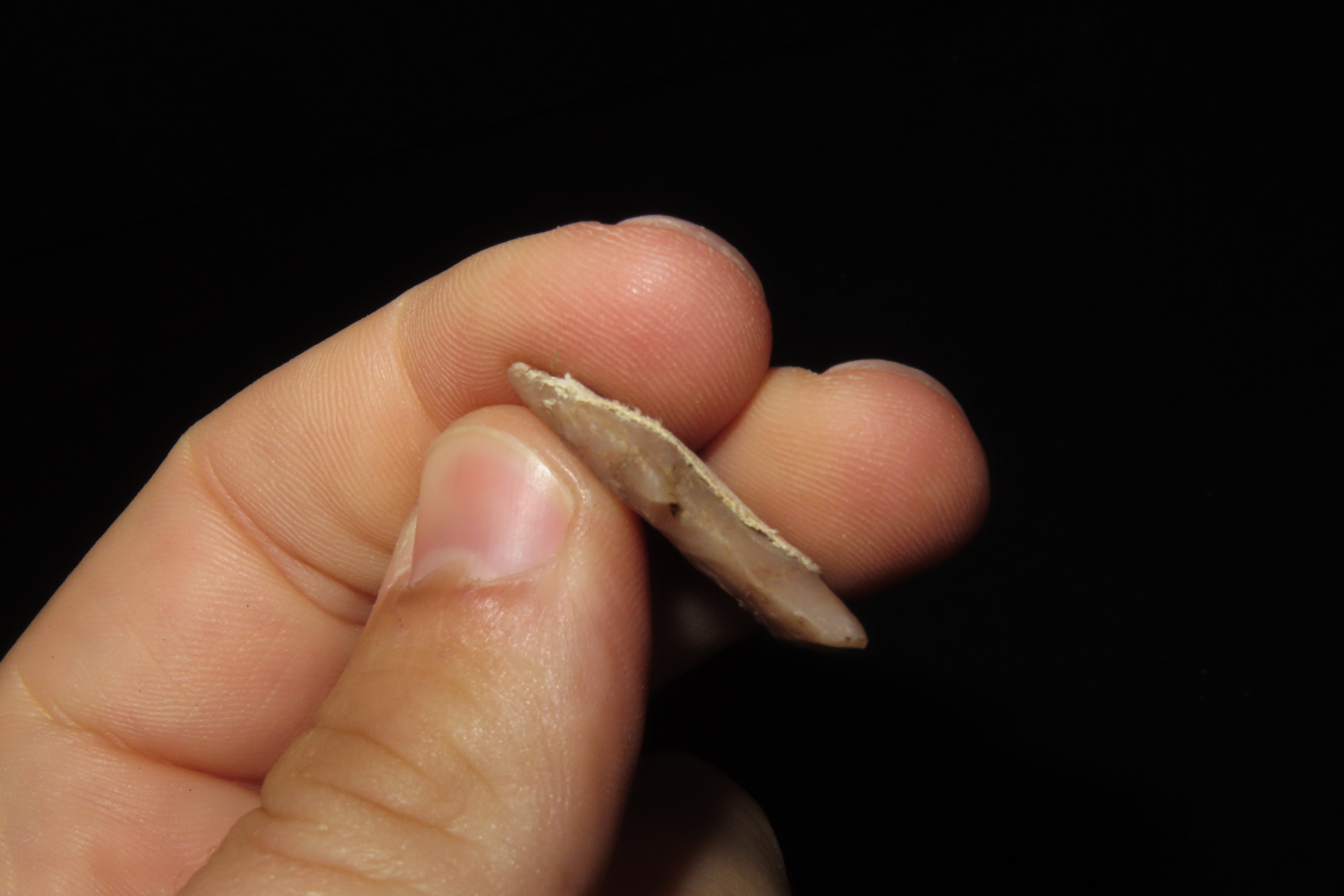 Highly Translucent Florida Bird Point, Yuma. Ex Brian Boles Collection. Deep South Arrowhead.