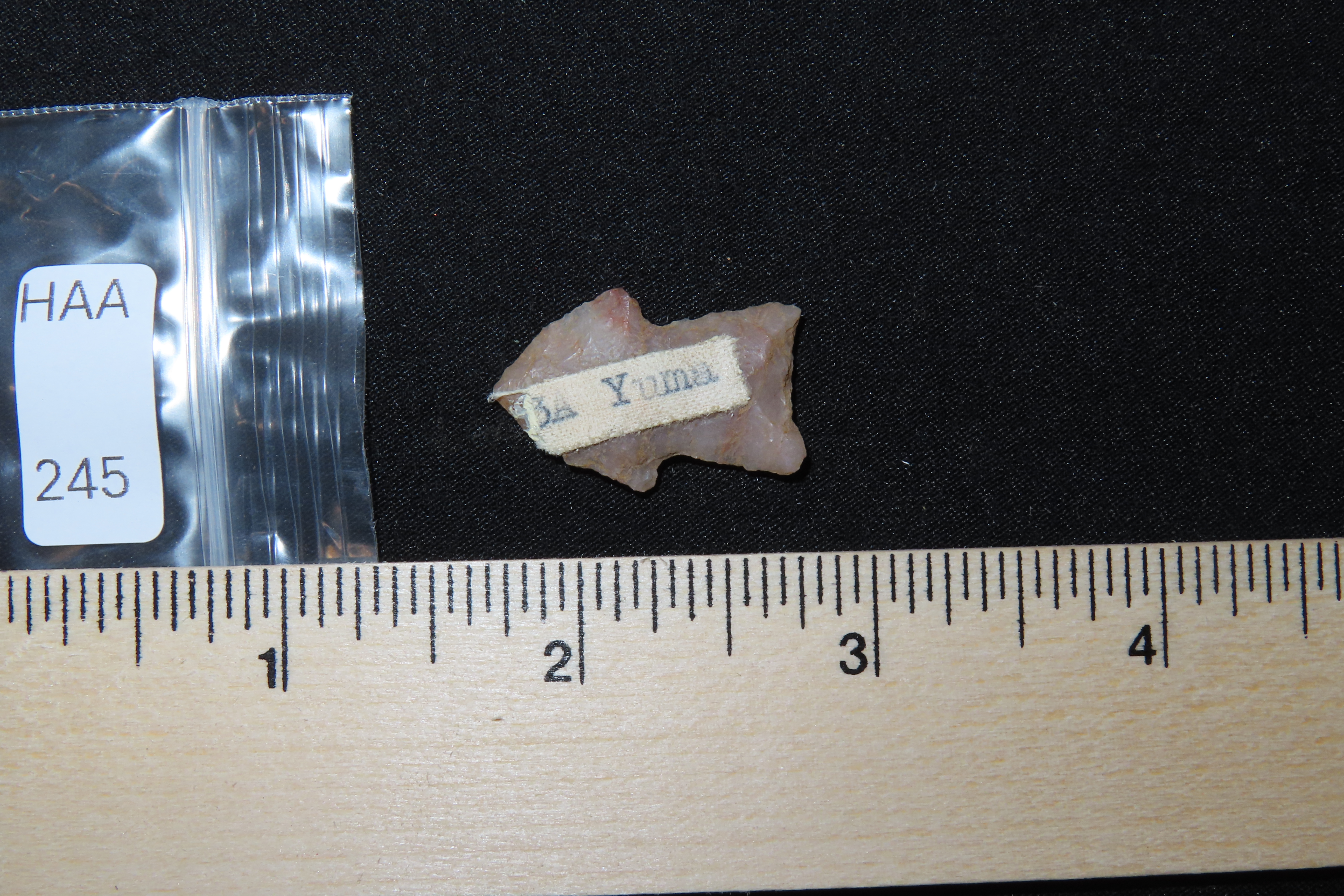Highly Translucent Florida Bird Point, Yuma. Ex Brian Boles Collection. Deep South Arrowhead.