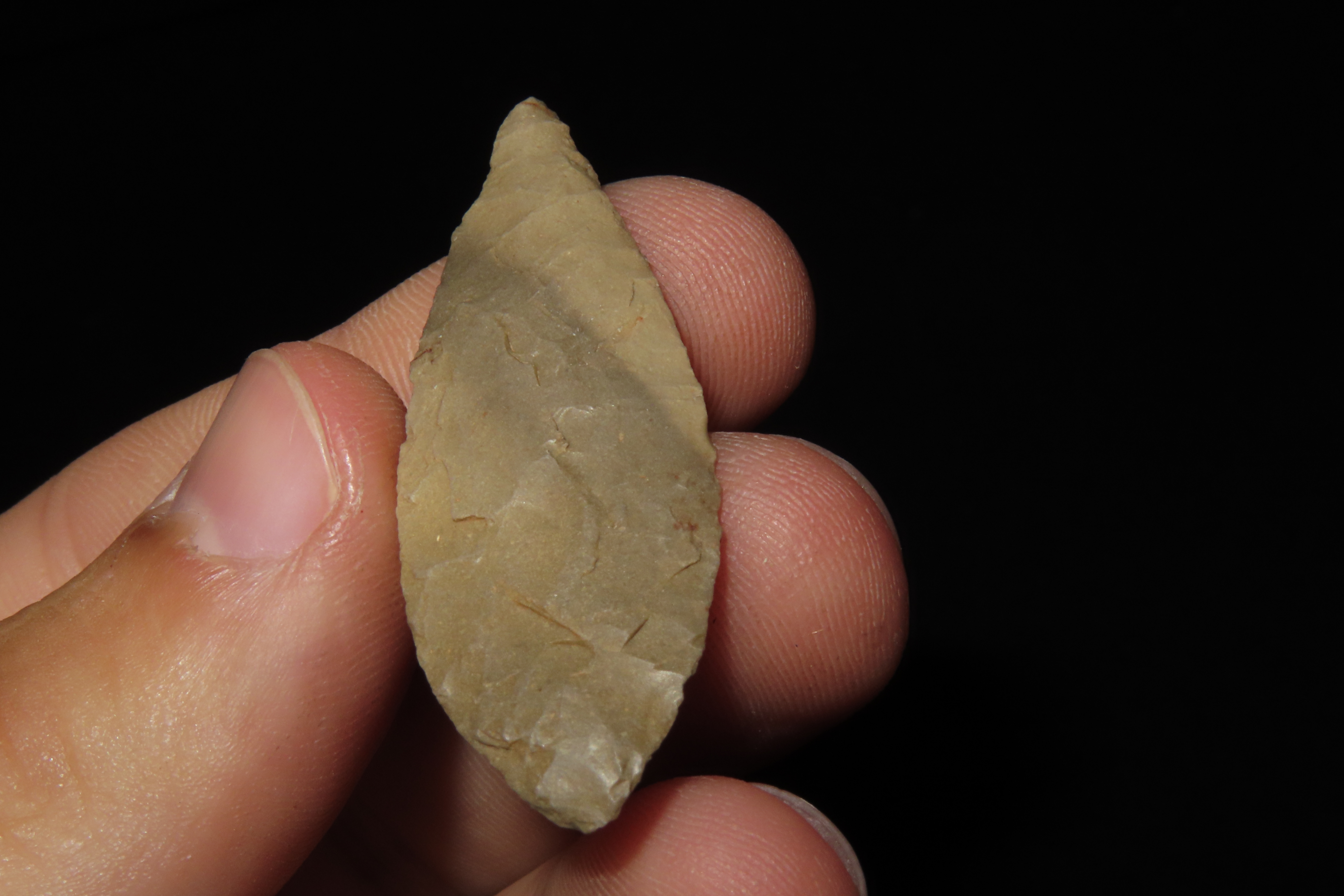 Amazing Nodena Bi-point leaf blade found in Arkansas. Ex Joey Ellis Collection.