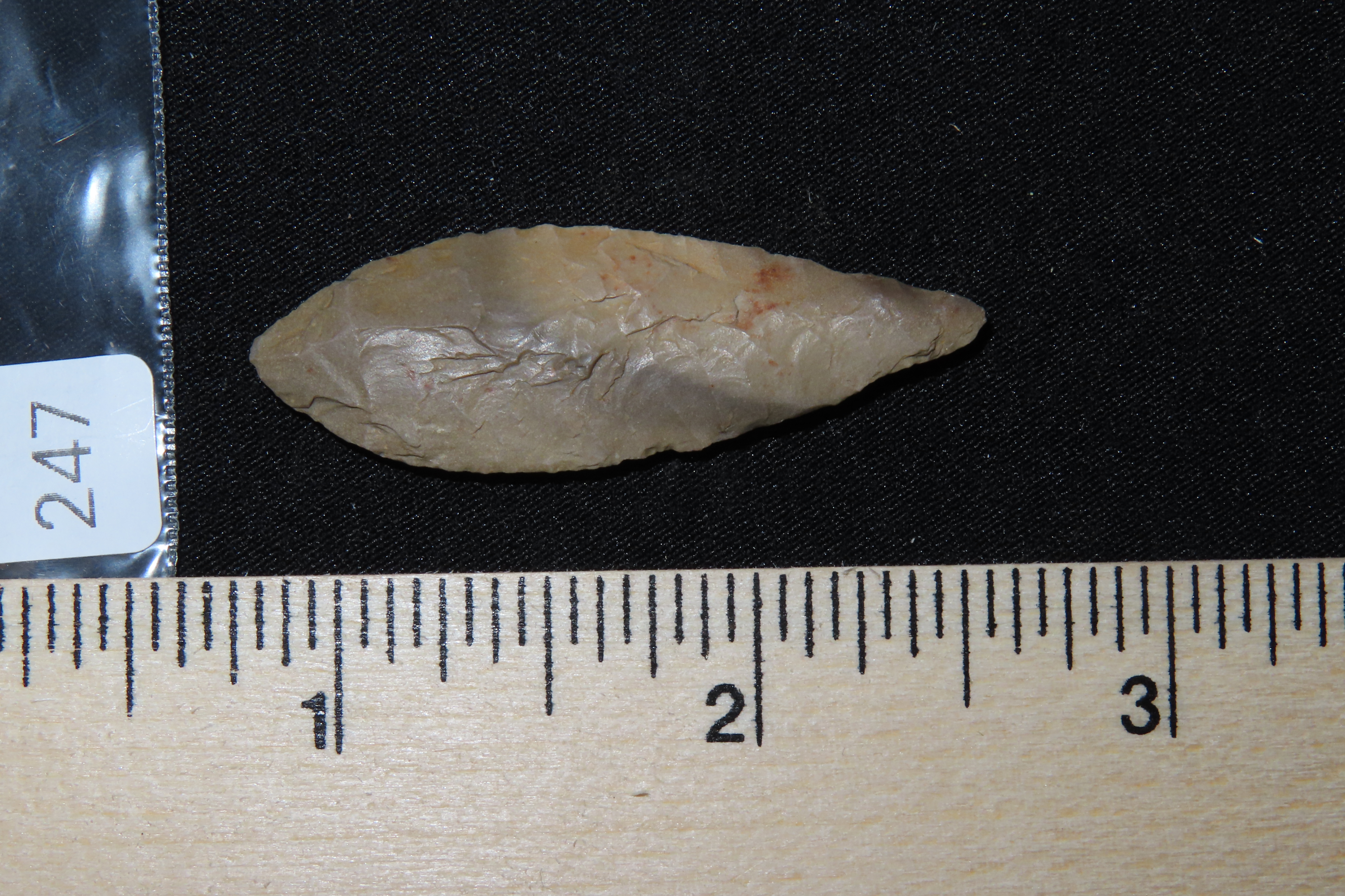 Amazing Nodena Bi-point leaf blade found in Arkansas. Ex Joey Ellis Collection.