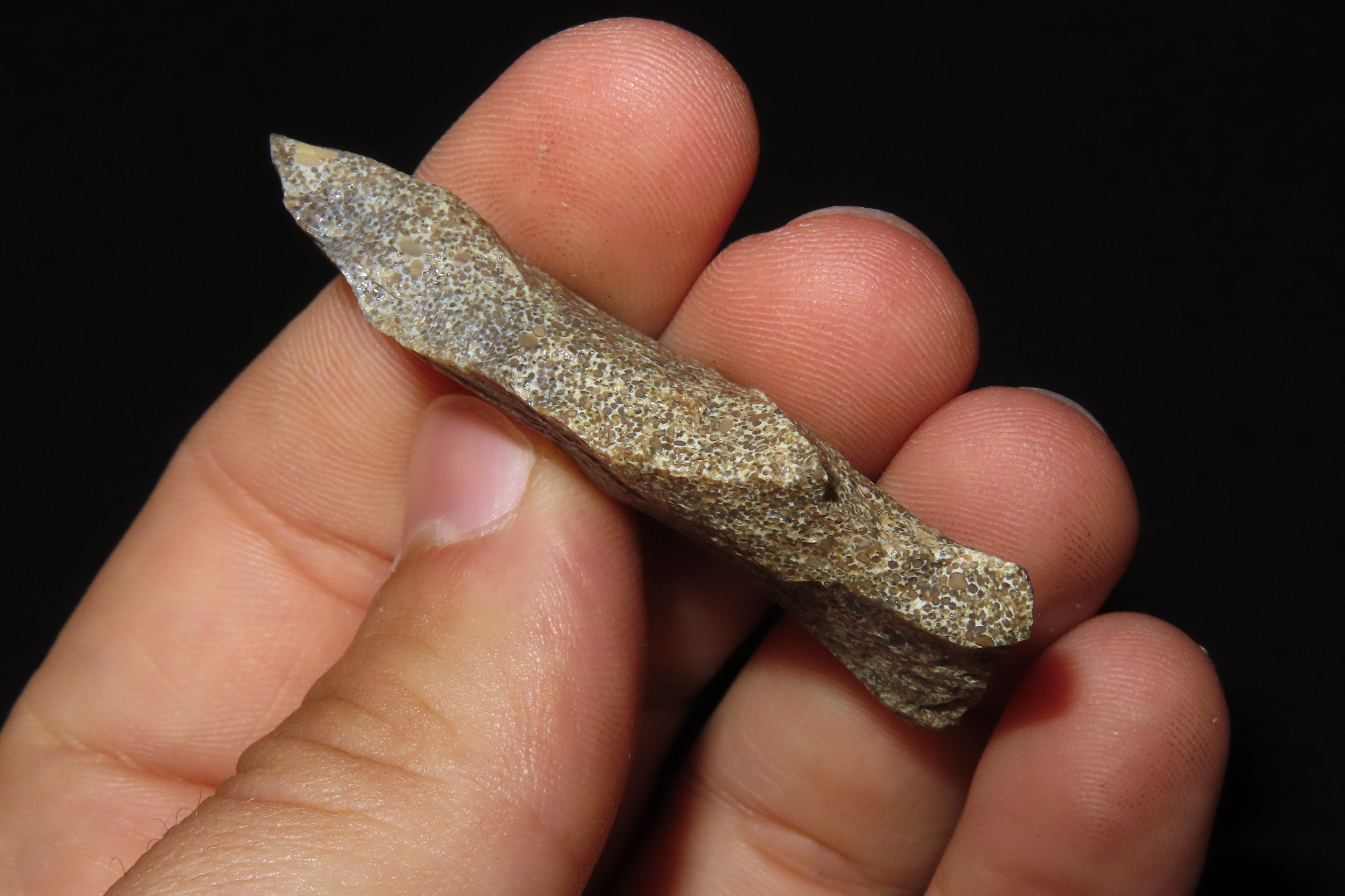 Nice 2 1/8" Florida Bolen Bevel found in Madison County, Fl. Ex Brian Boles Collection. Deep South Arrowhead.