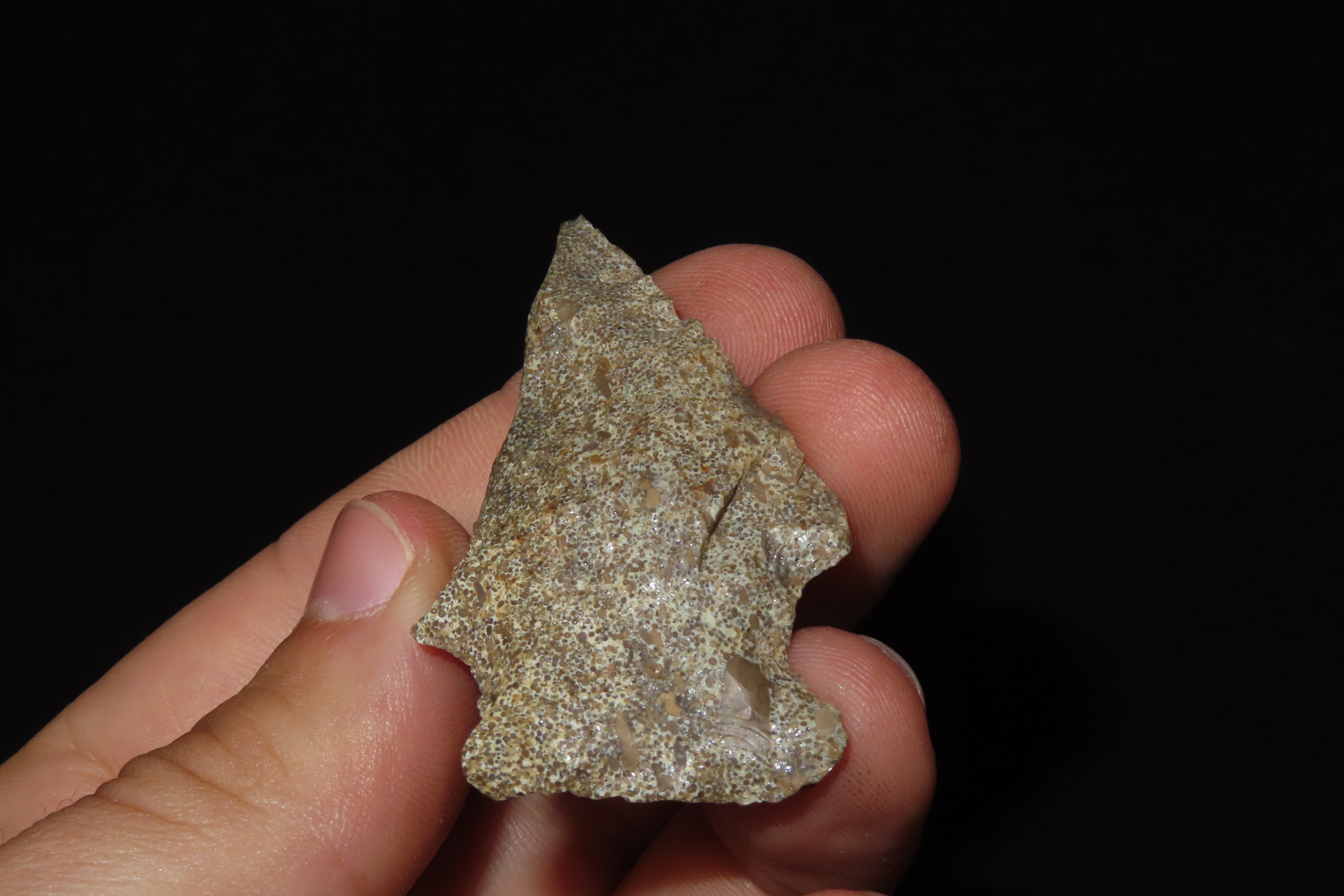 Nice 2 1/8" Florida Bolen Bevel found in Madison County, Fl. Ex Brian Boles Collection. Deep South Arrowhead.