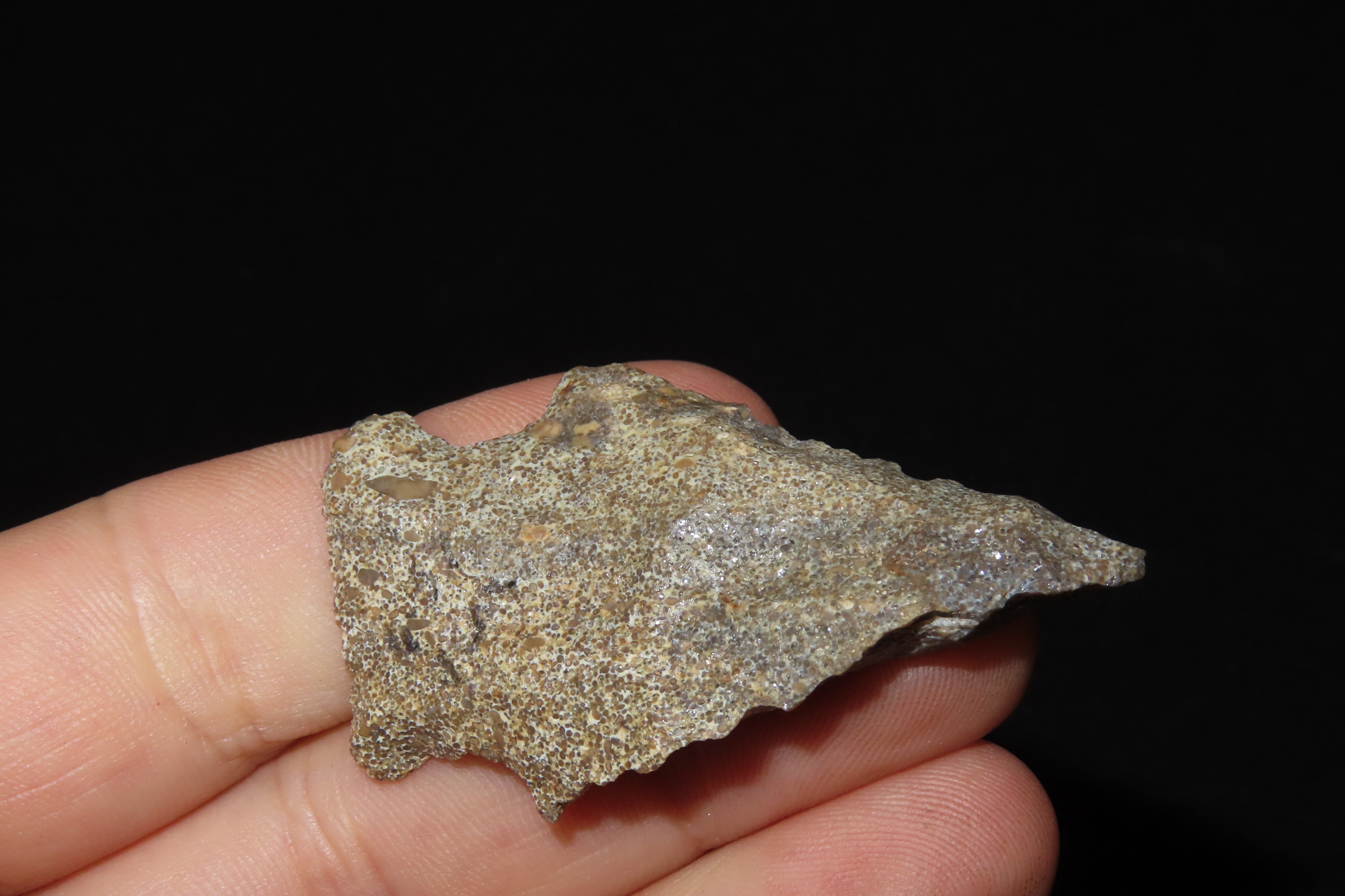 Nice 2 1/8" Florida Bolen Bevel found in Madison County, Fl. Ex Brian Boles Collection. Deep South Arrowhead.