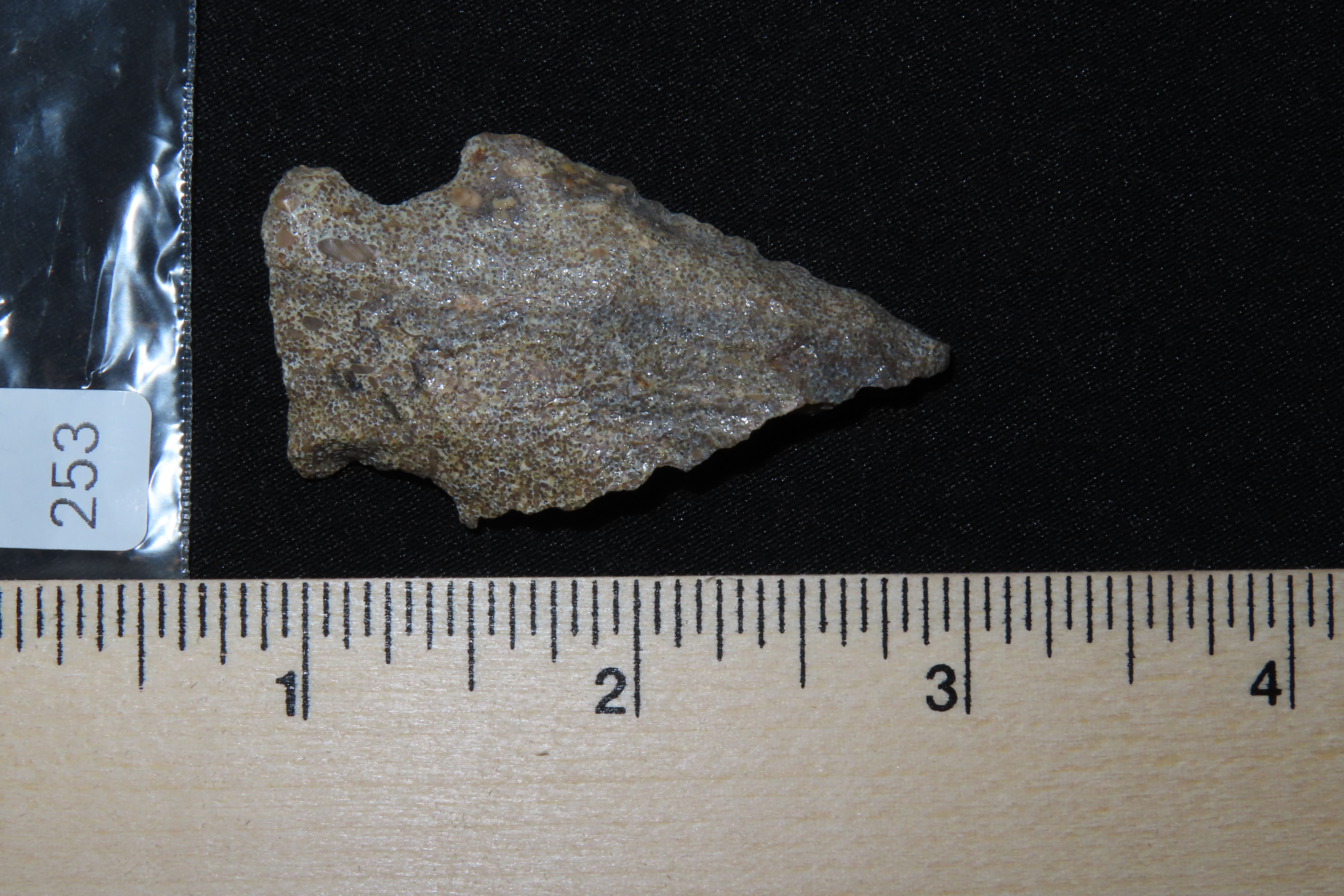 Nice 2 1/8" Florida Bolen Bevel found in Madison County, Fl. Ex Brian Boles Collection. Deep South Arrowhead.