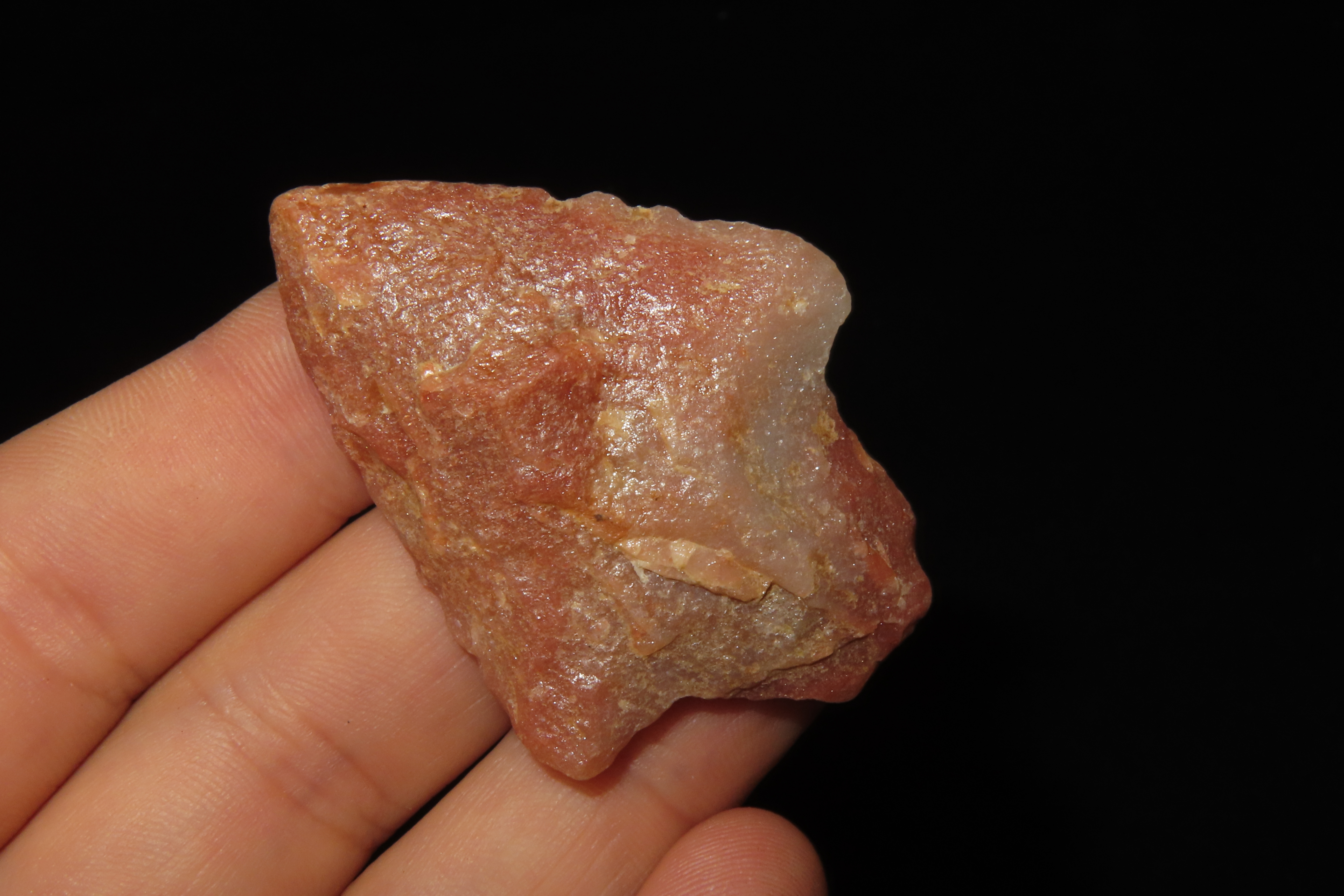 Colorful Florida Marion / Newnan found in Pasco County, FL. Red & Pink Quartz. Ex Brian Boles Collection. Deep South Arrowhead.