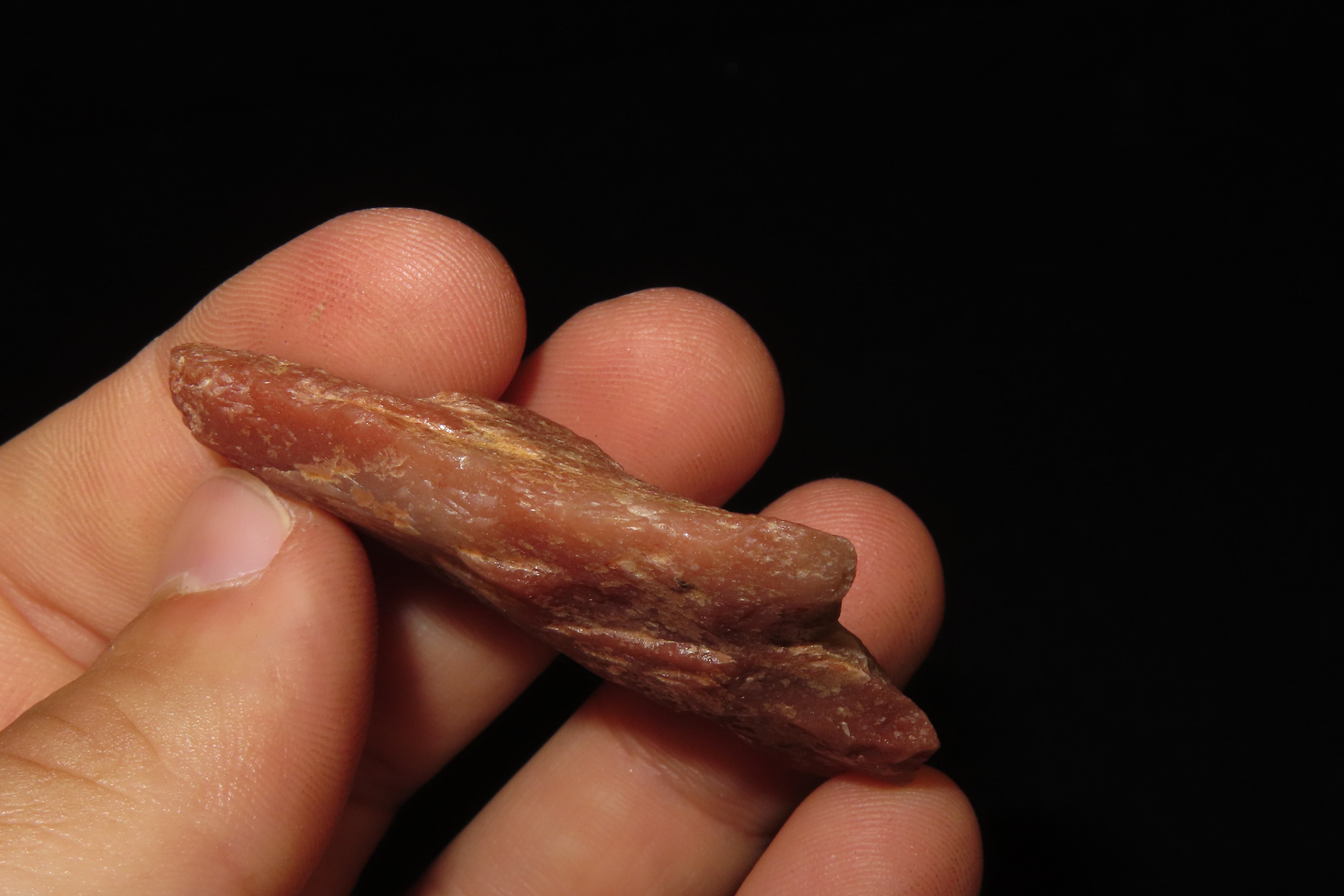 Colorful Florida Marion / Newnan found in Pasco County, FL. Red & Pink Quartz. Ex Brian Boles Collection. Deep South Arrowhead.