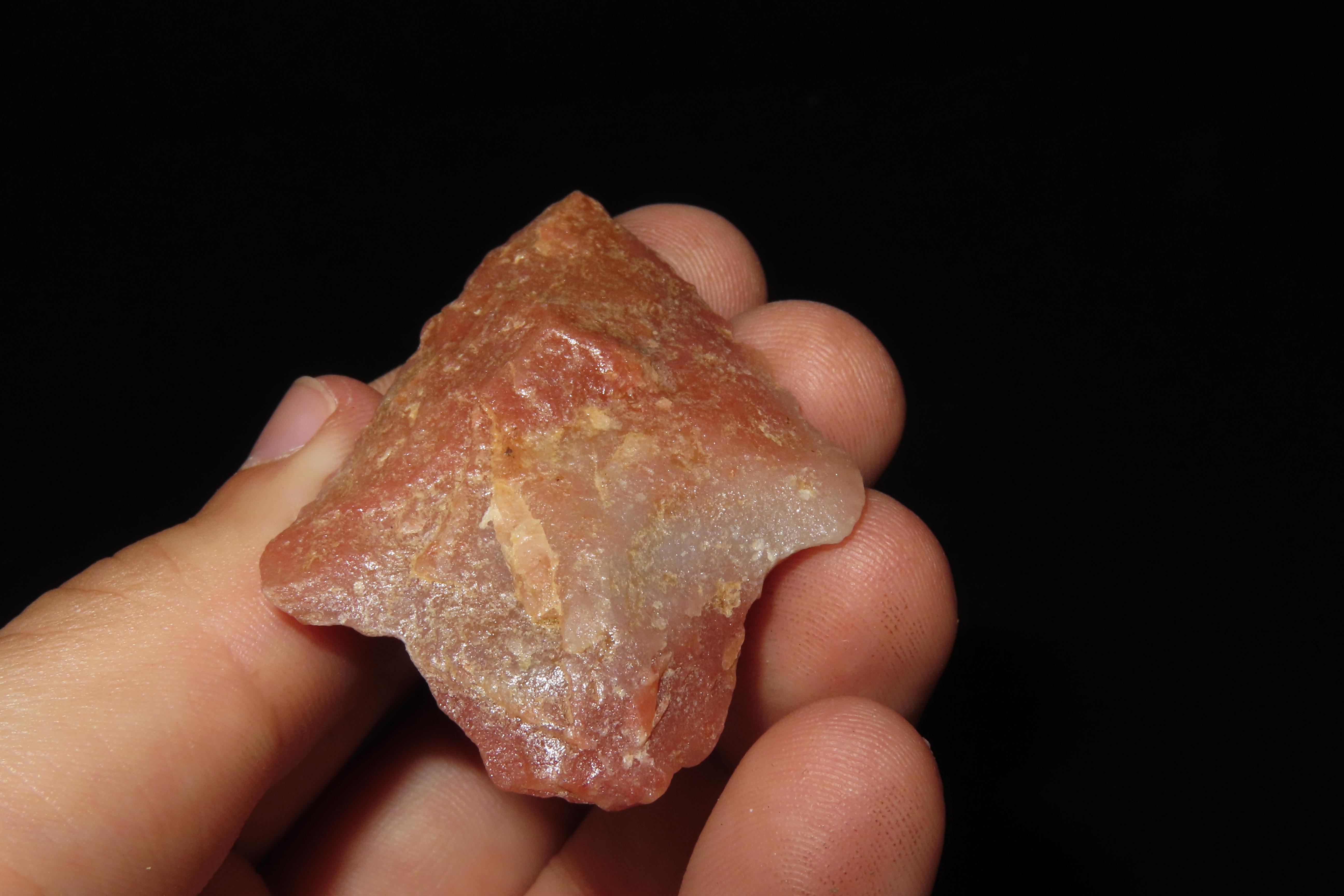 Colorful Florida Marion / Newnan found in Pasco County, FL. Red & Pink Quartz. Ex Brian Boles Collection. Deep South Arrowhead.