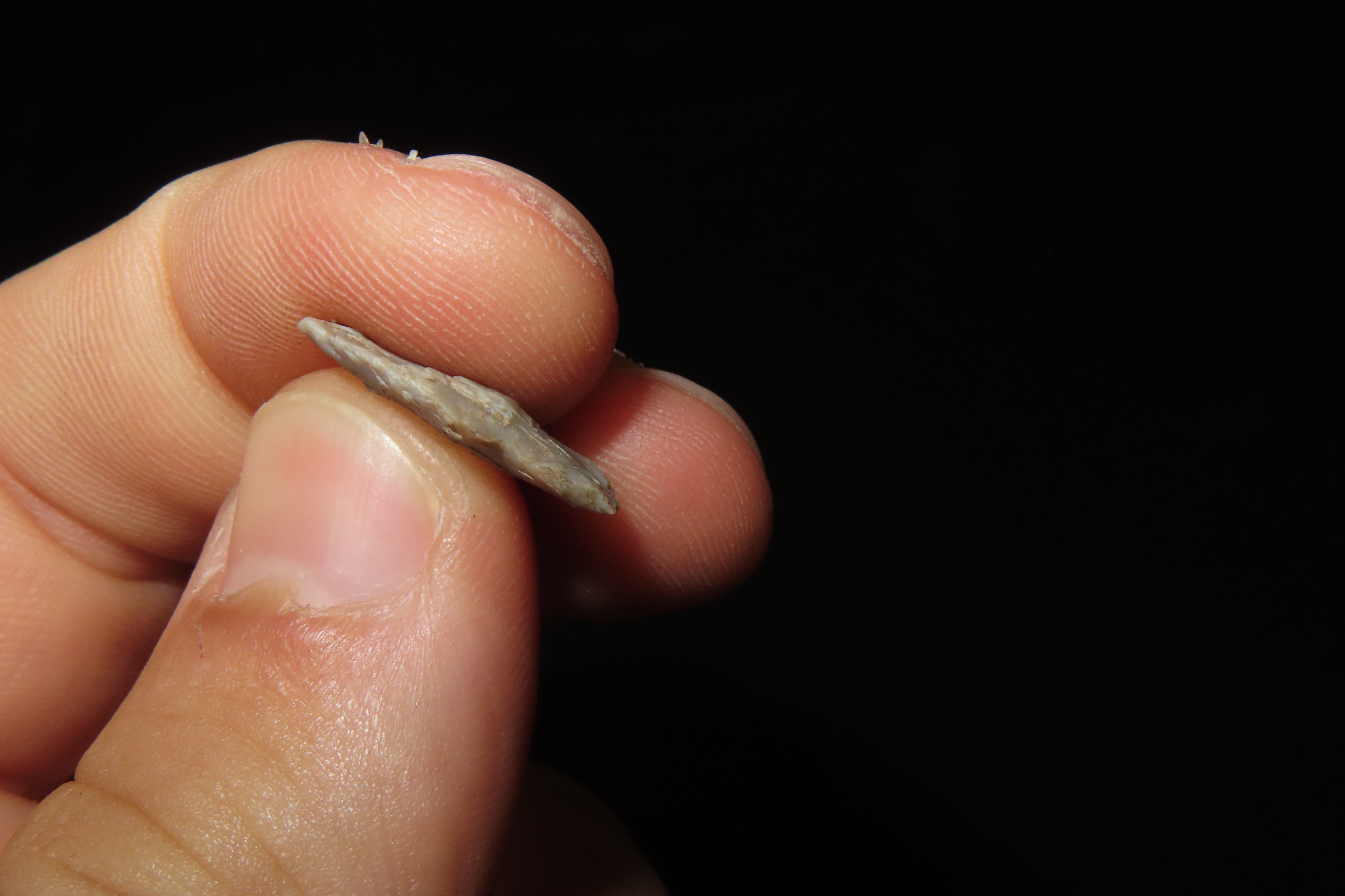 Nice Side Notch Bird Point found in Montanna. Very thin well made example!