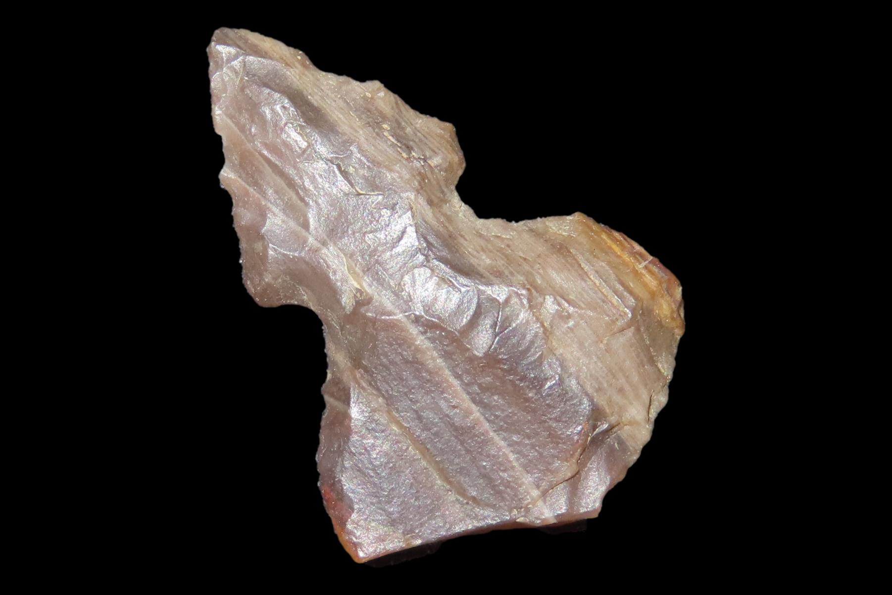 Unique Translucent Petrified / Agatized Wood Bird Point found in NE Colorado. Colorful Gem Point, Eccentric Arrowhead.