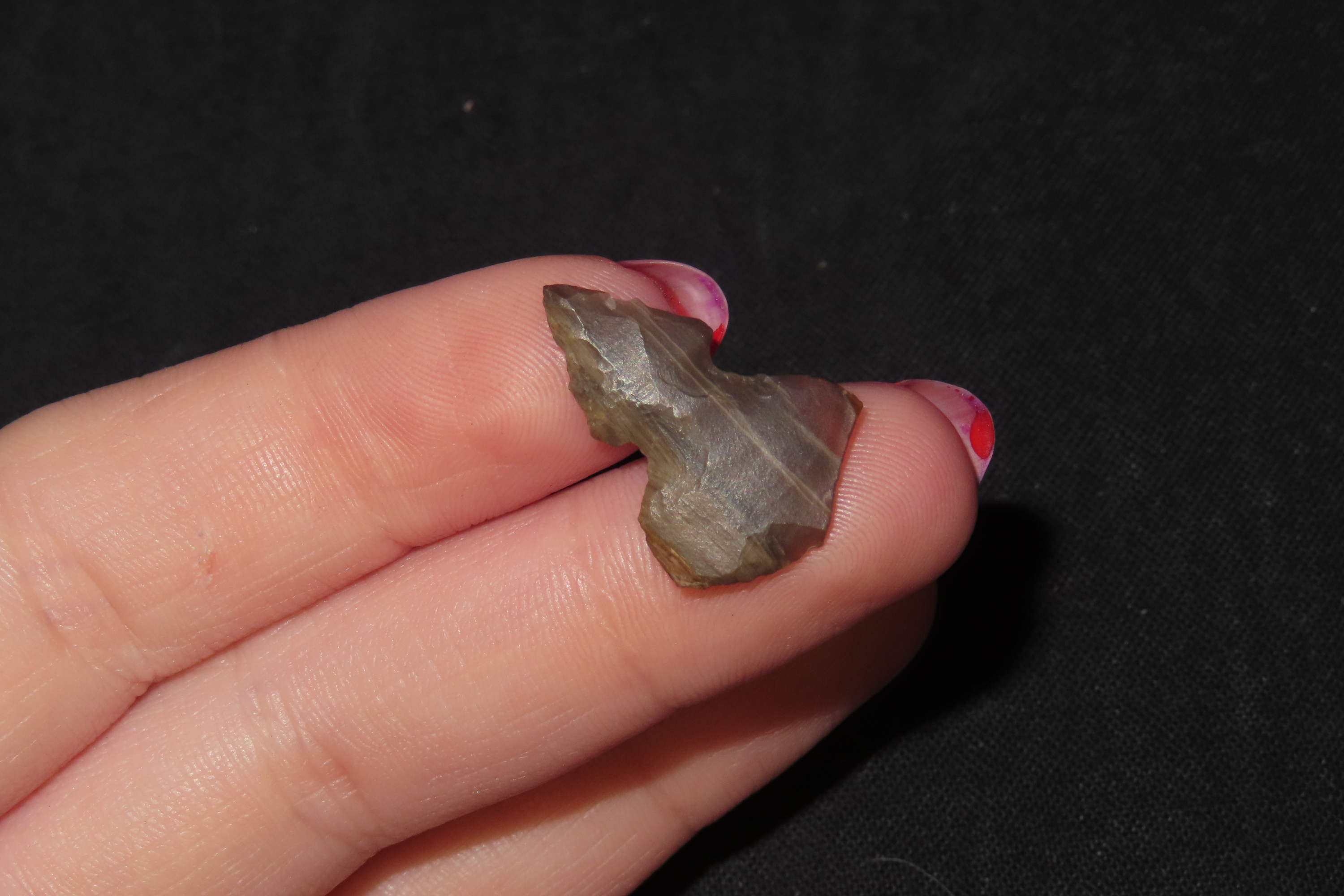 Unique Translucent Petrified / Agatized Wood Bird Point found in NE Colorado. Colorful Gem Point, Eccentric Arrowhead.