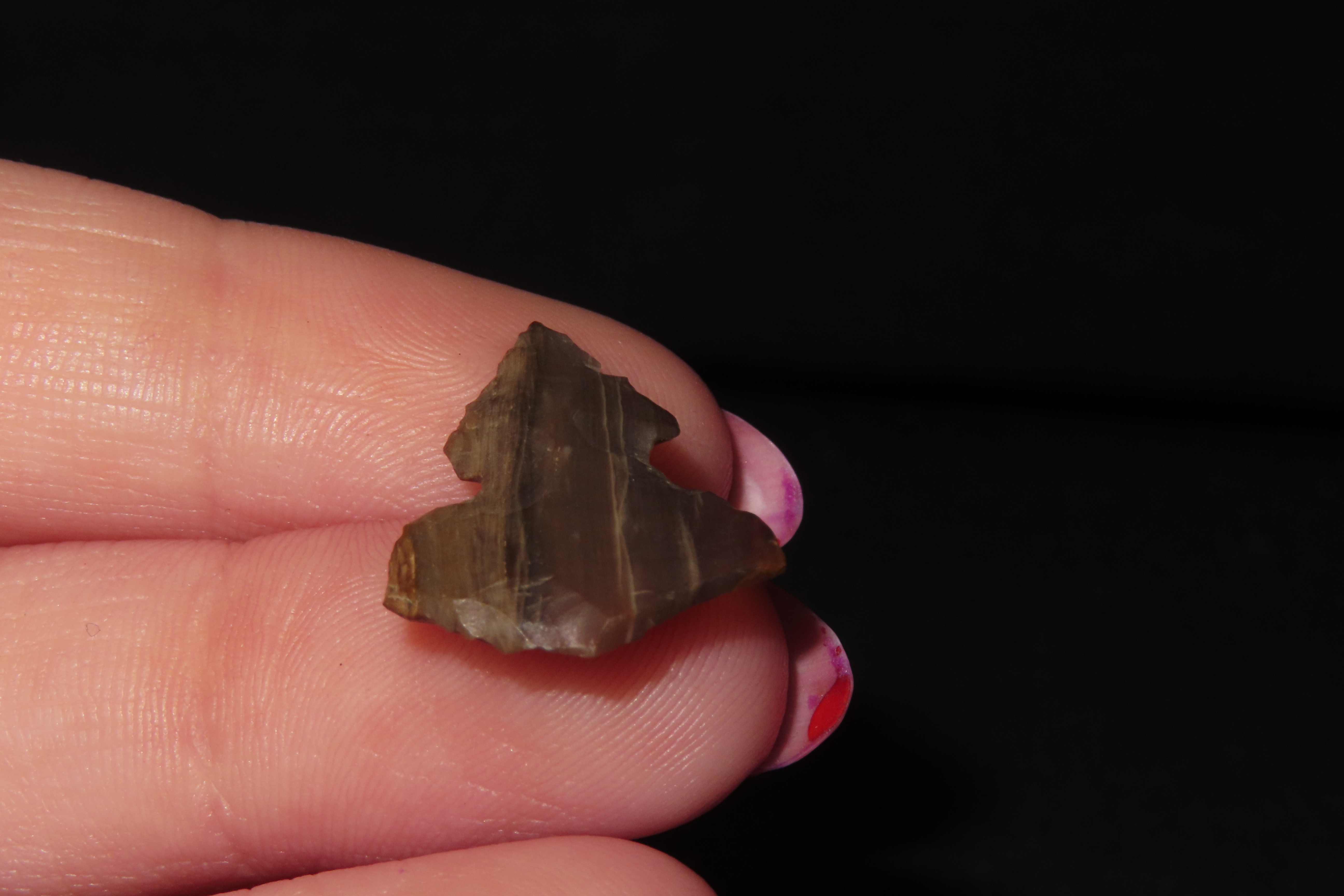Unique Translucent Petrified / Agatized Wood Bird Point found in NE Colorado. Colorful Gem Point, Eccentric Arrowhead.