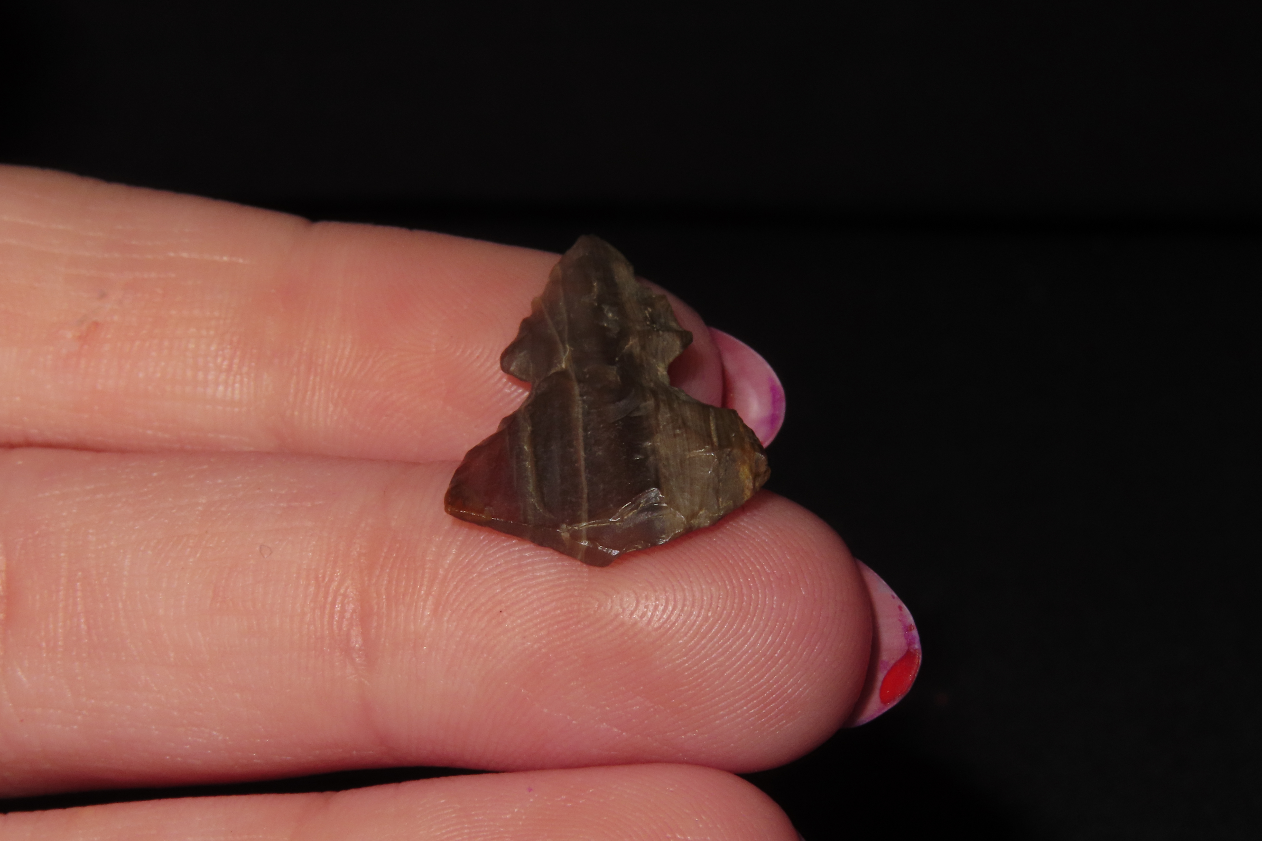 Unique Translucent Petrified / Agatized Wood Bird Point found in NE Colorado. Colorful Gem Point, Eccentric Arrowhead.