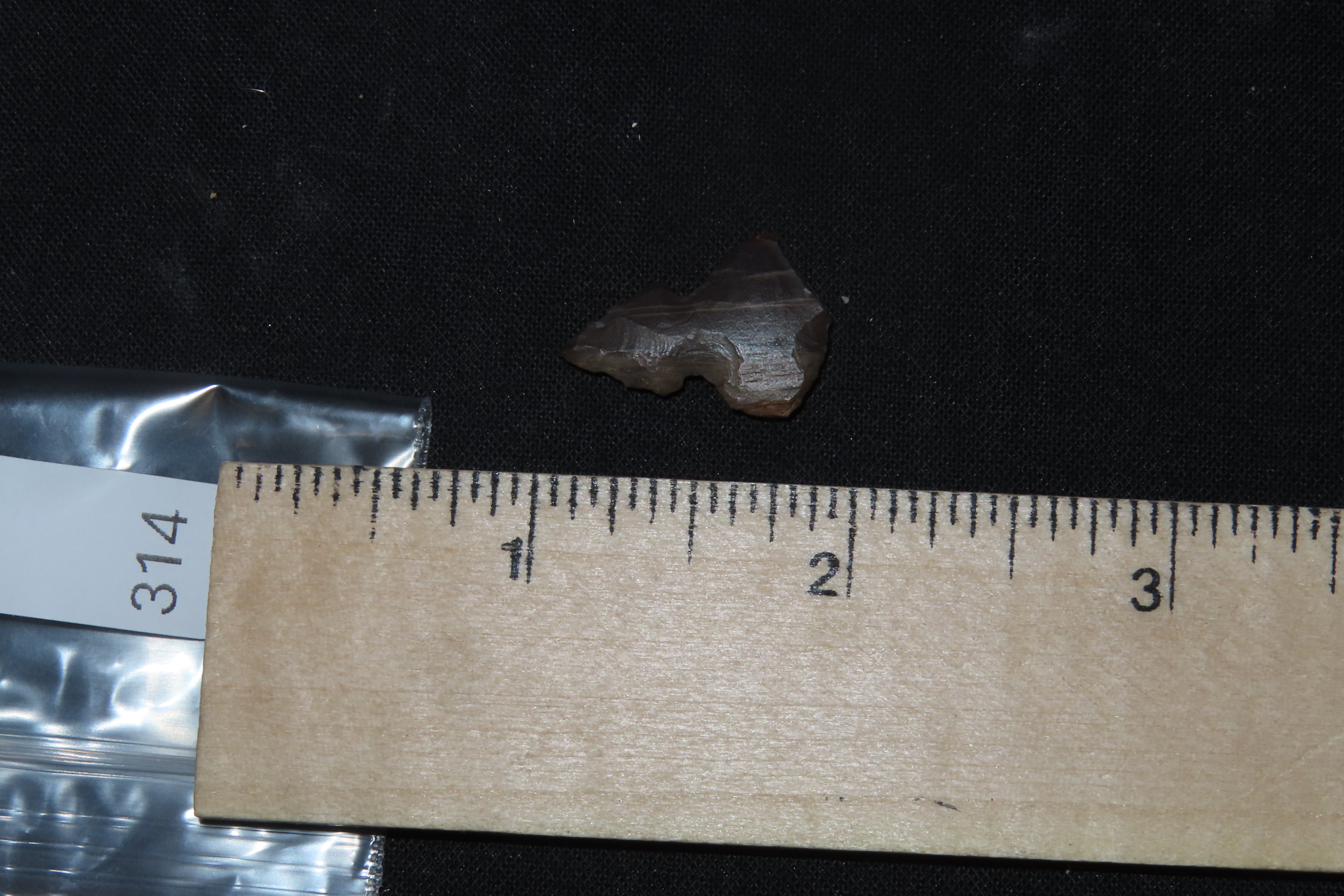 Unique Translucent Petrified / Agatized Wood Bird Point found in NE Colorado. Colorful Gem Point, Eccentric Arrowhead.