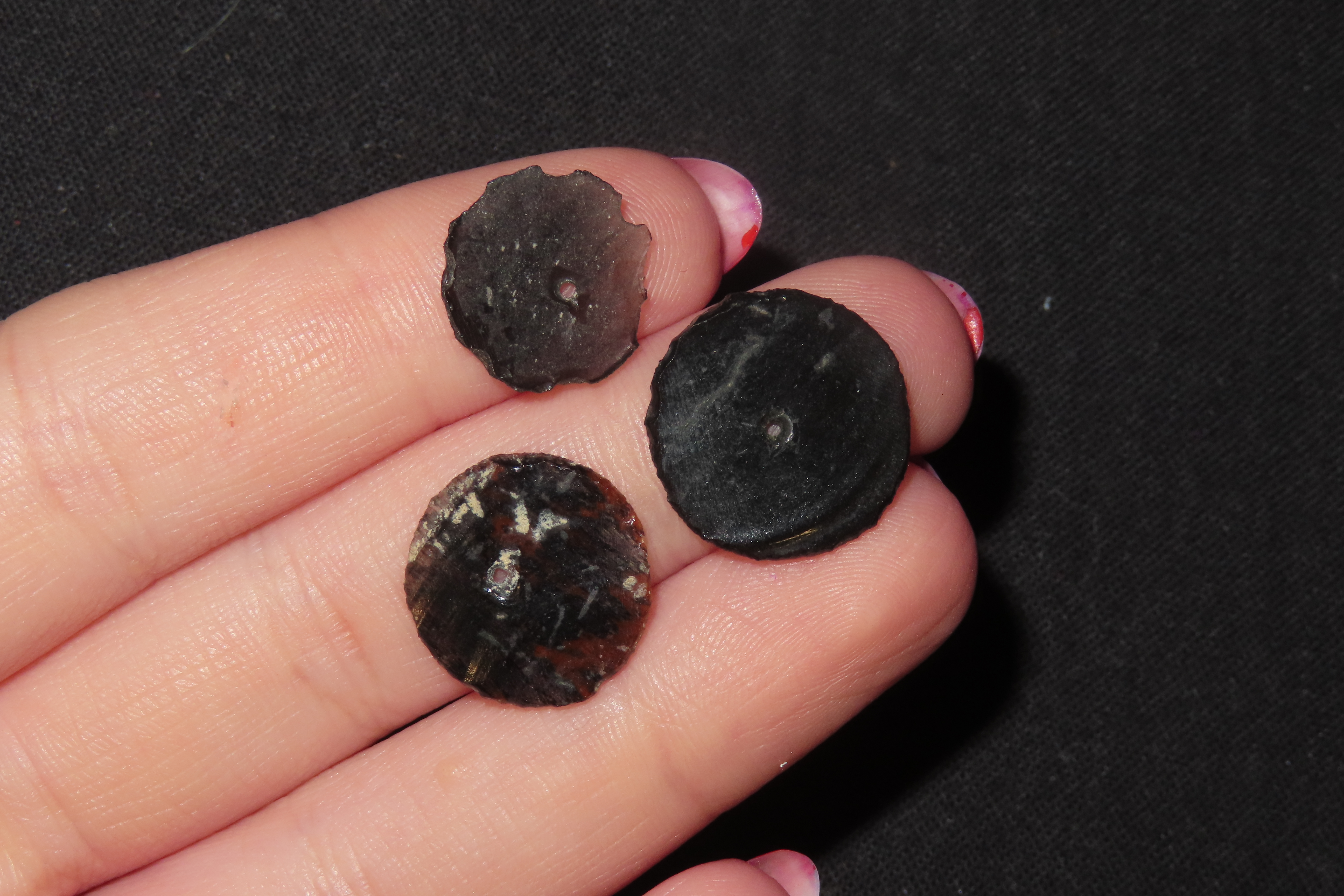 Nice Lot of Translucent Drilled Obsidian Disc Beads, Colima Culture, Found I West Mexico. Great examples eith amazing Deposits!
