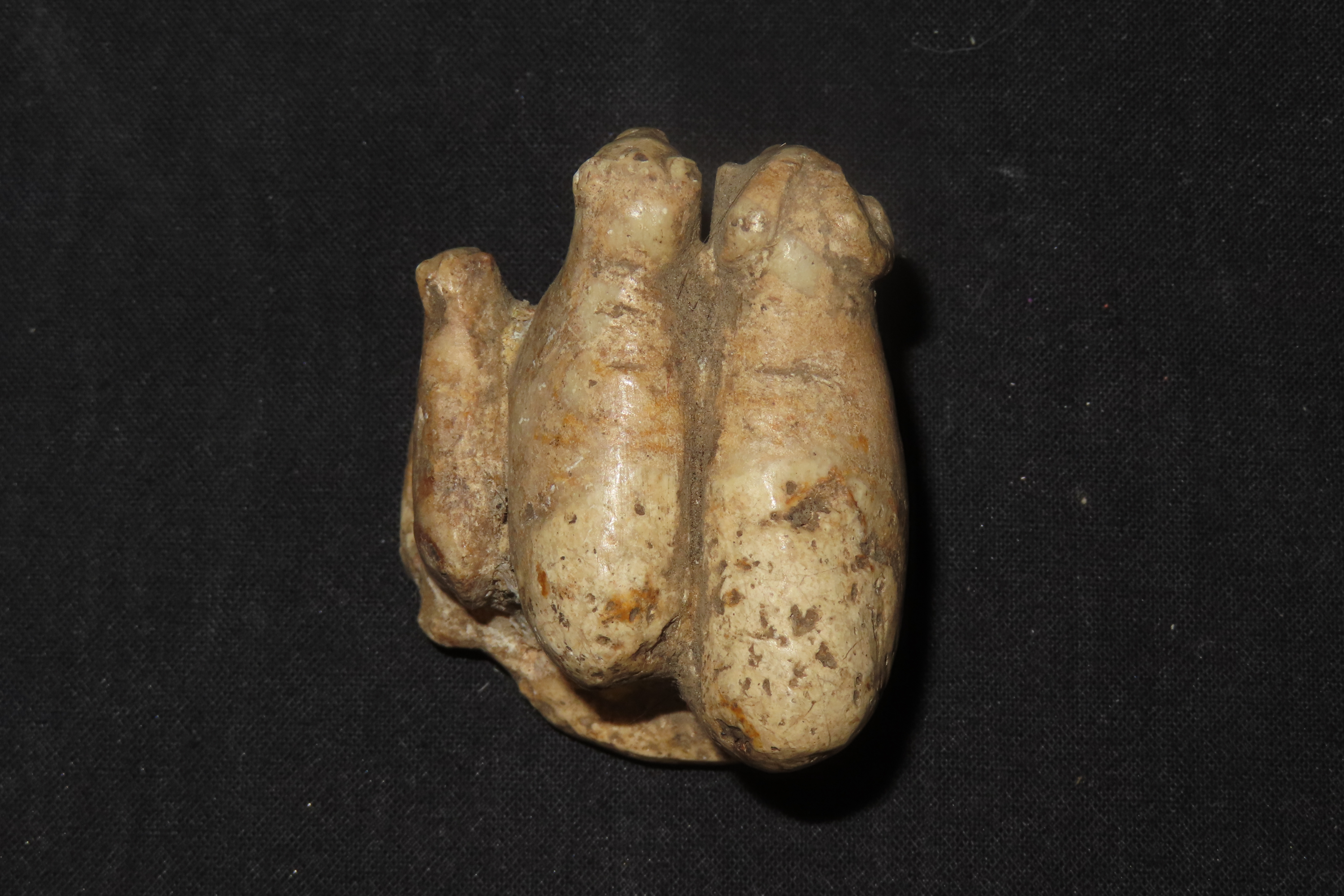 Pre-Columbian Stone Canopa Ram Family effigy from Peru, Colonial era, Nicely carved details and well patianted example.