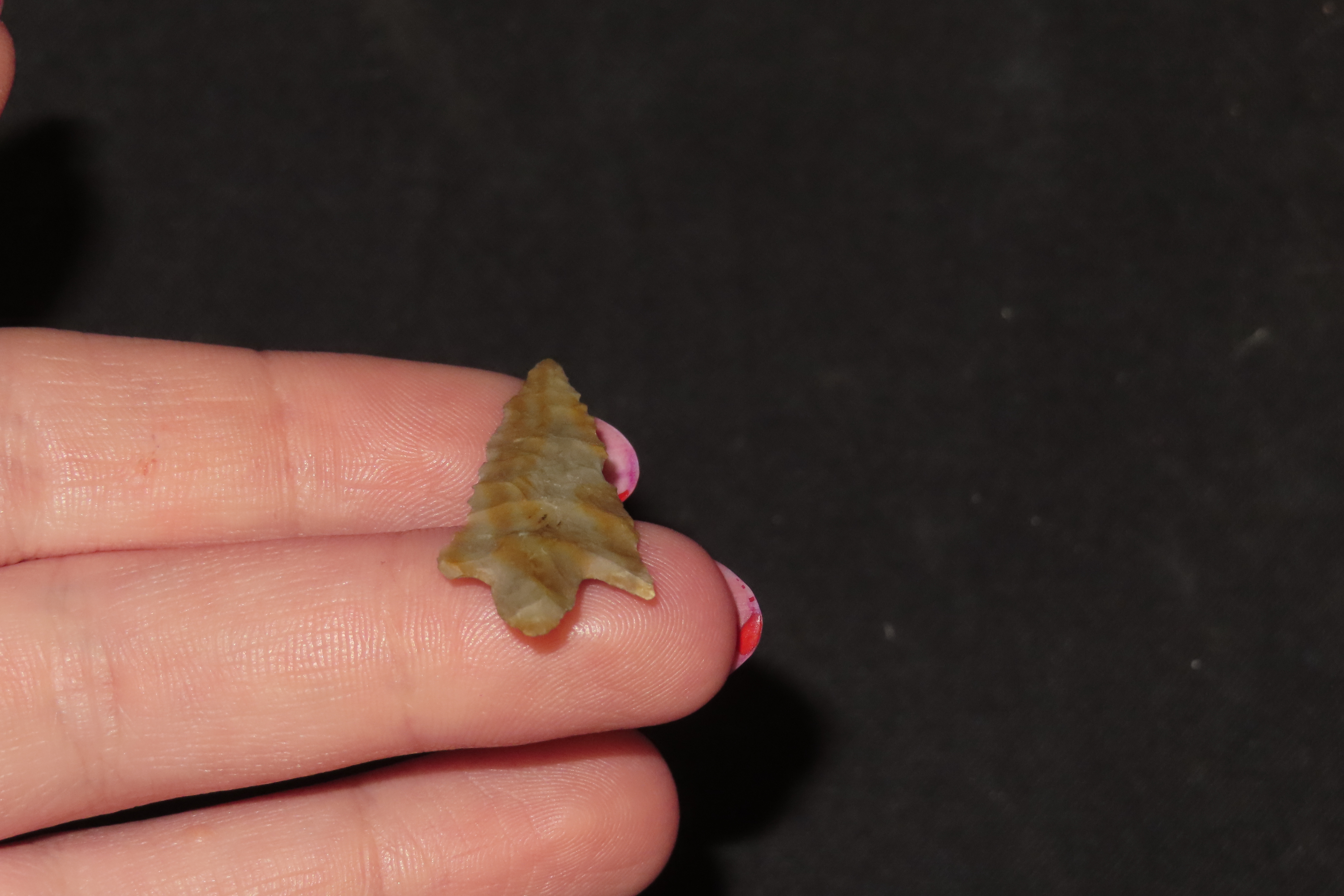Colorful Perdiz Bird Point / Arrowhead found in Central Texas. Thin and well flaked with Great Color.