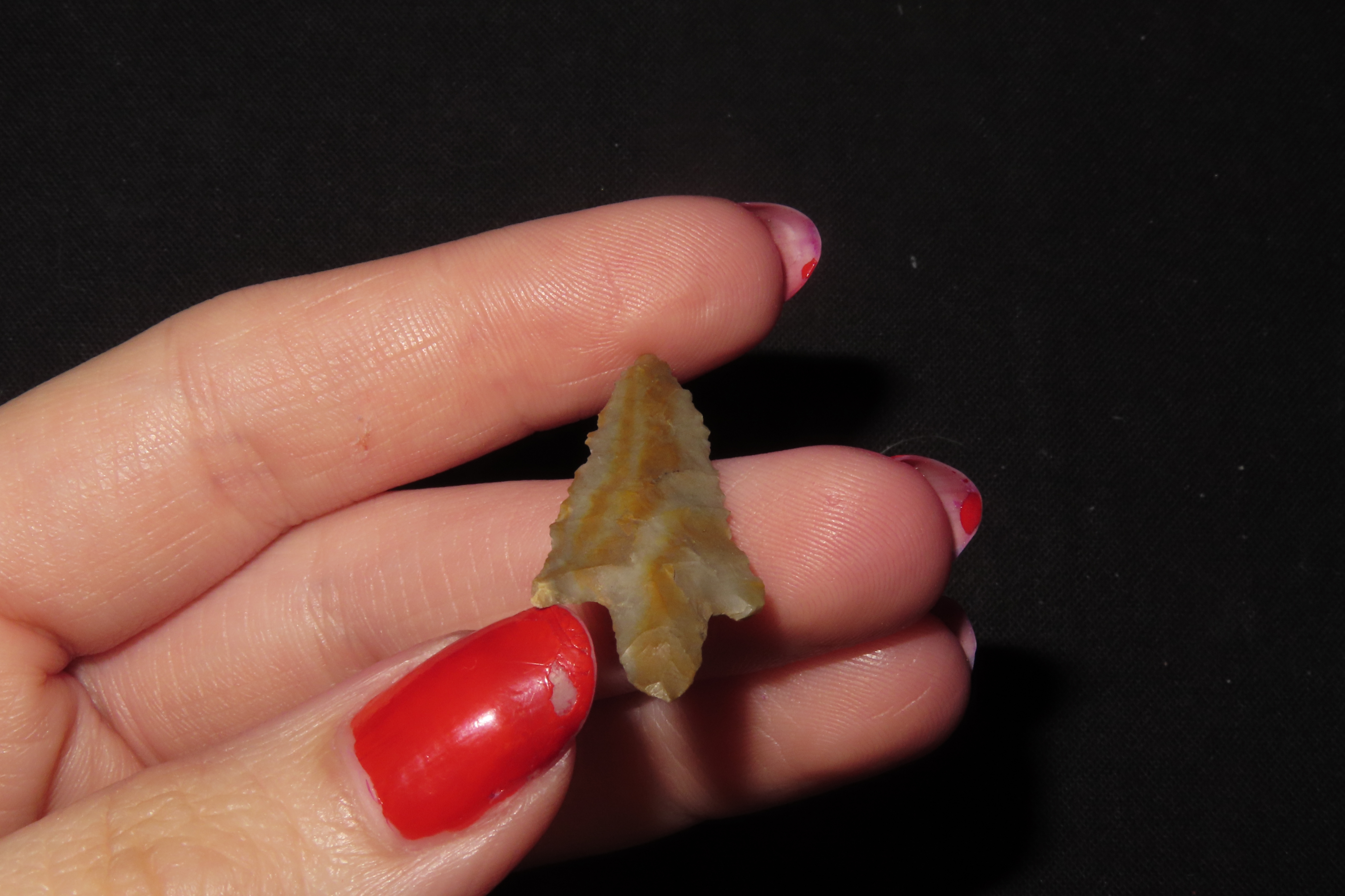Colorful Perdiz Bird Point / Arrowhead found in Central Texas. Thin and well flaked with Great Color.