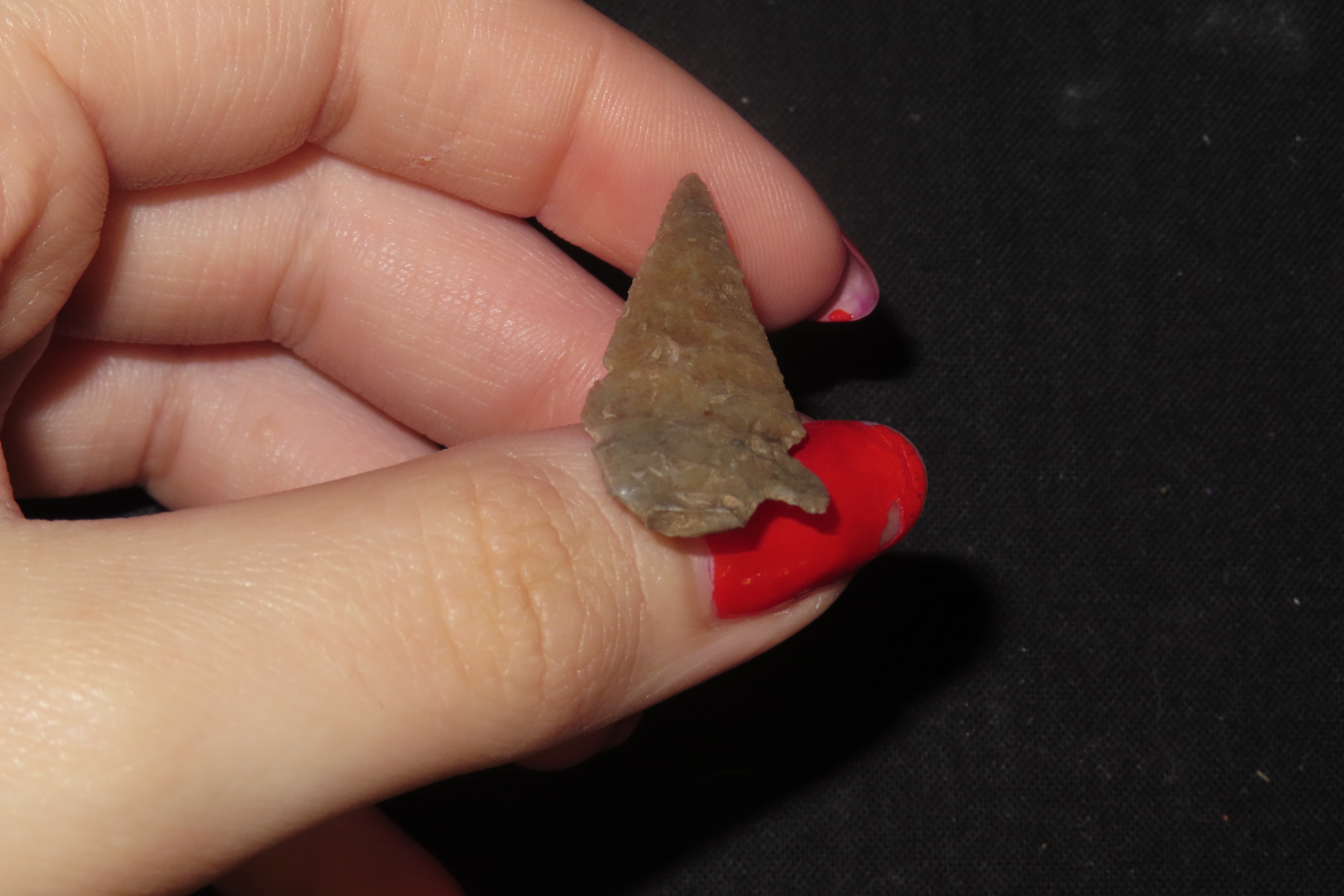 Wafer thin Double Notch Bird Point / Arrowhead found in New Mexico.