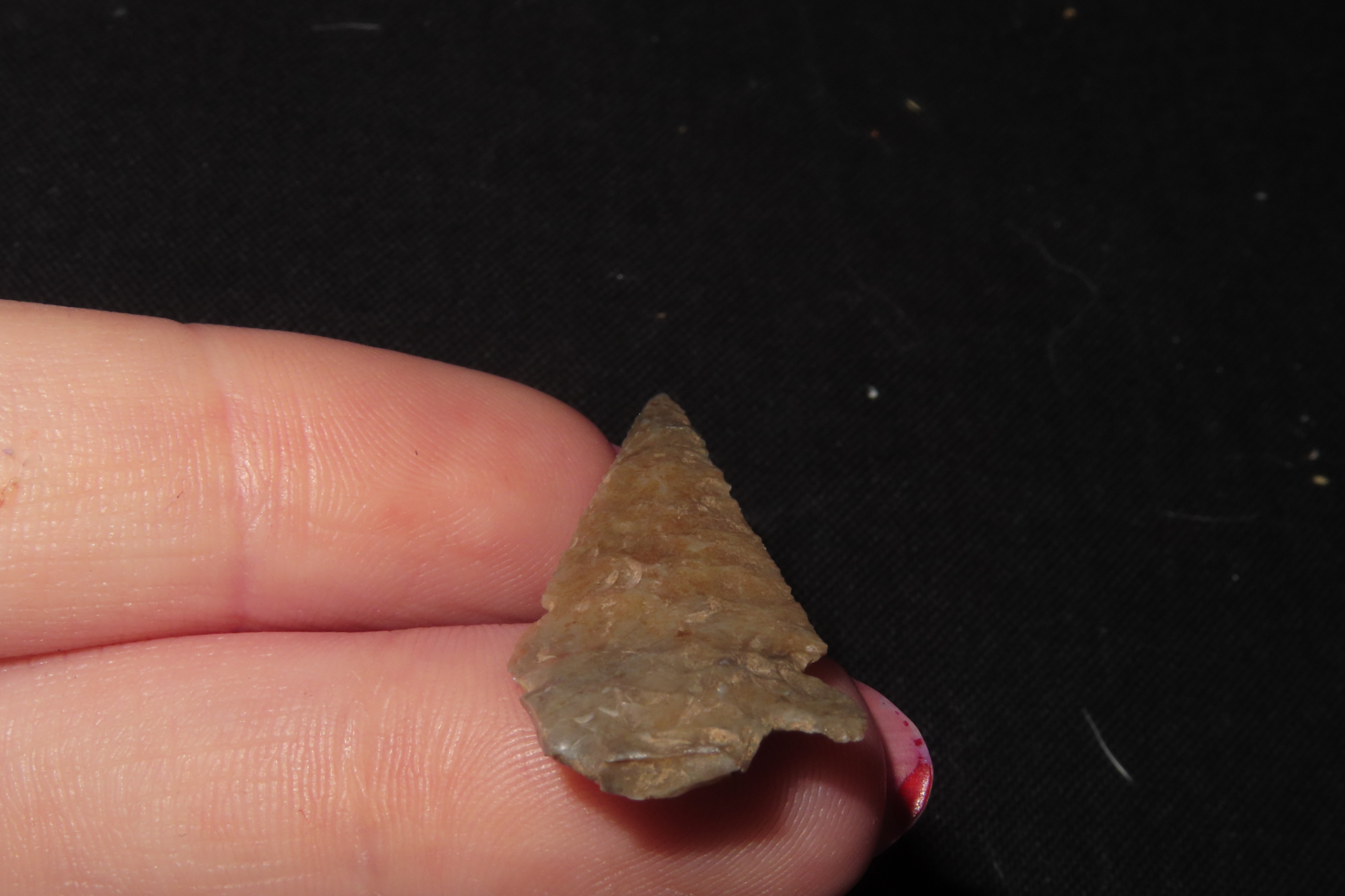 Wafer thin Double Notch Bird Point / Arrowhead found in New Mexico.